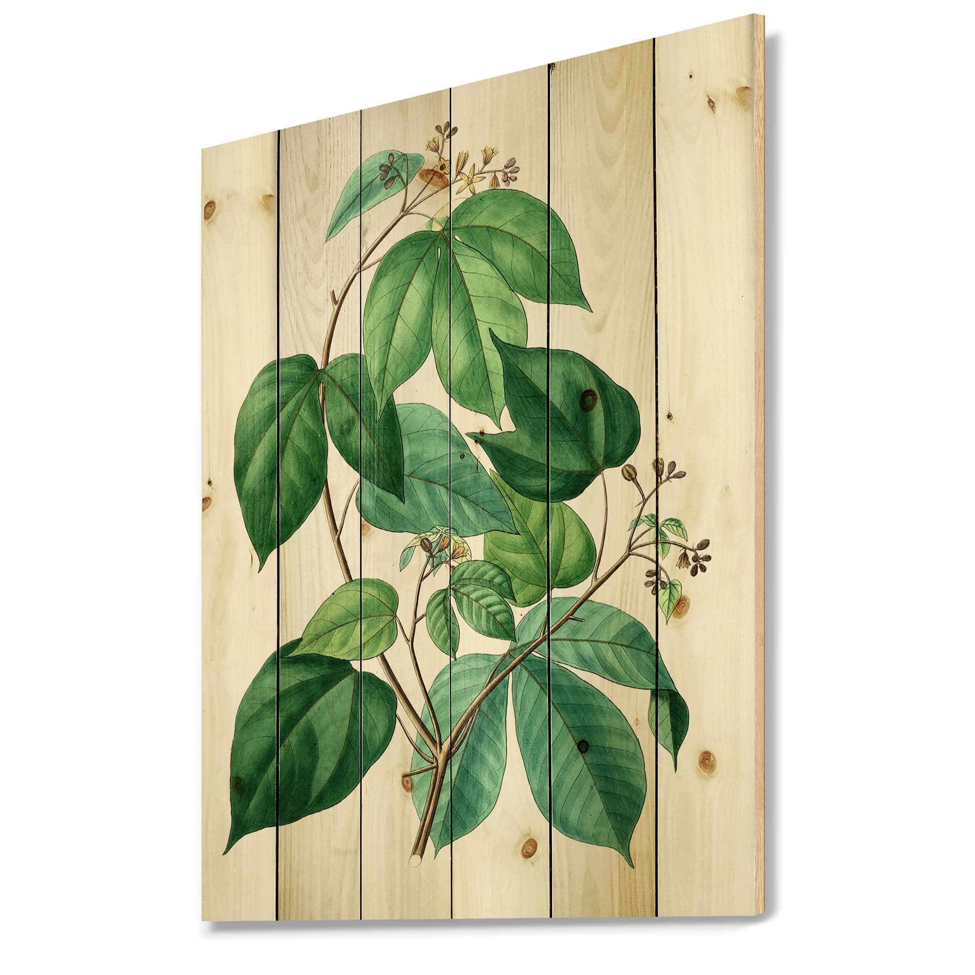 Designart - Vintage Green Leaves Plants III - Traditional Print on Natural Pine Wood