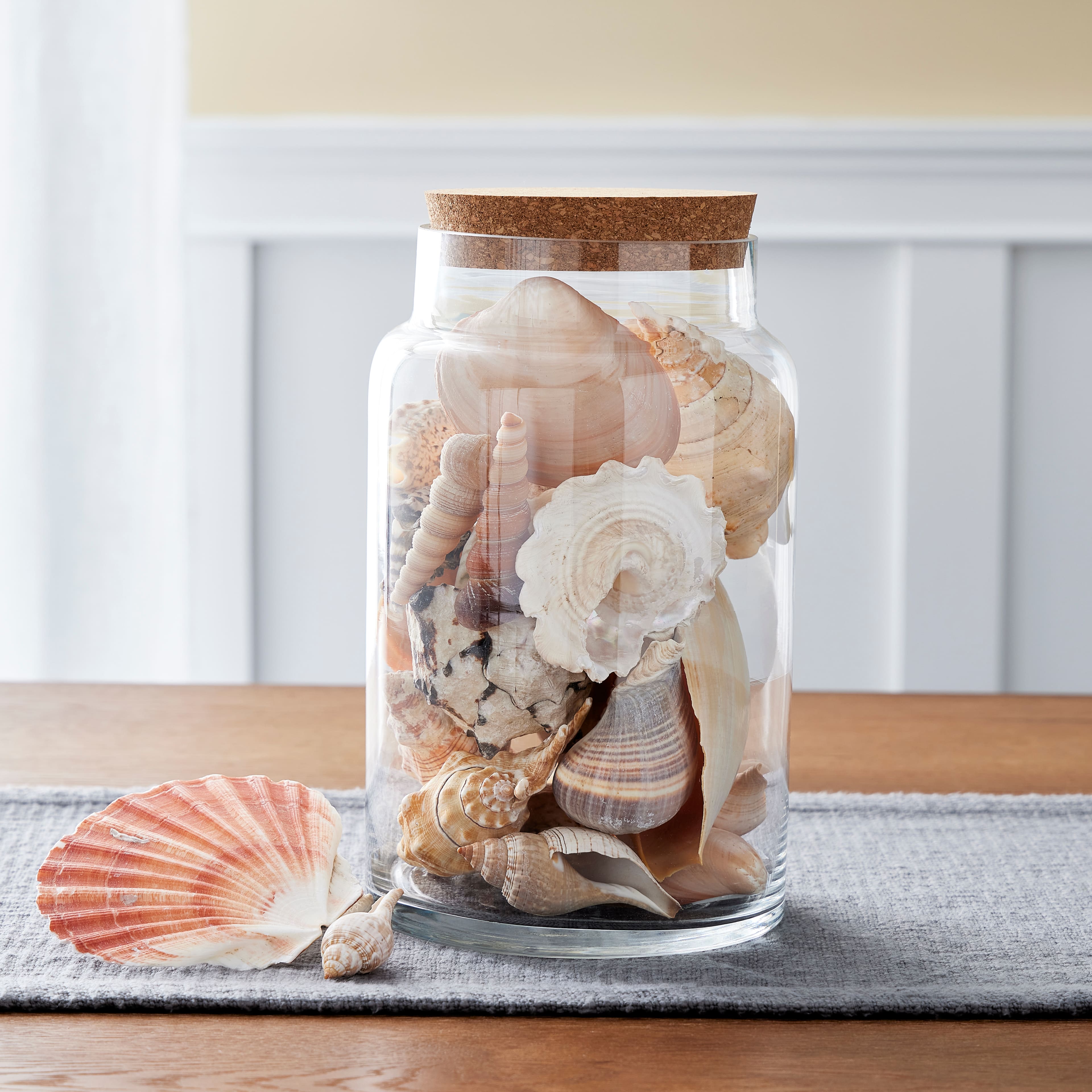 Cylindrical Terrarium Jar with Cork By Ashland®