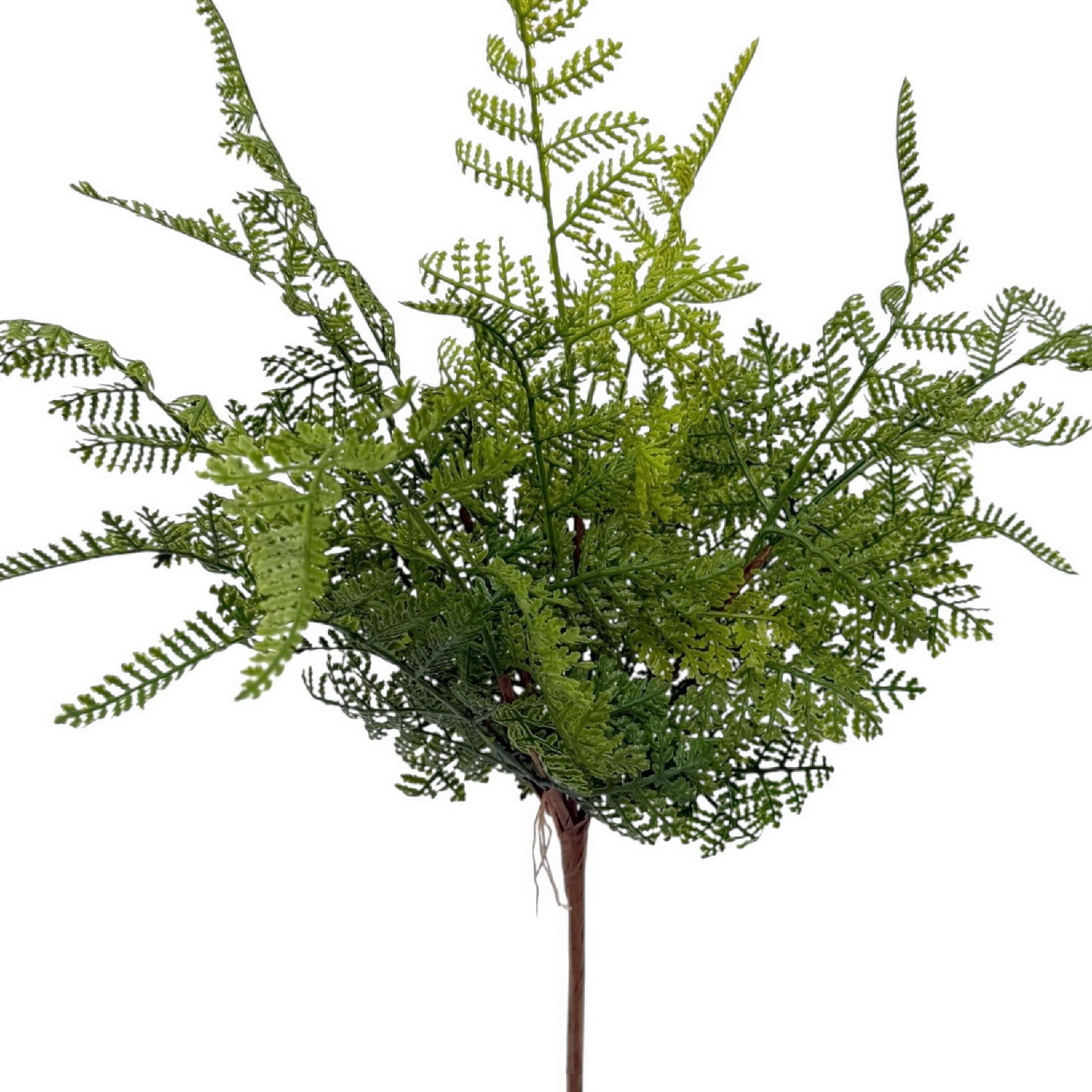 17" Fern Bush by Ashland®