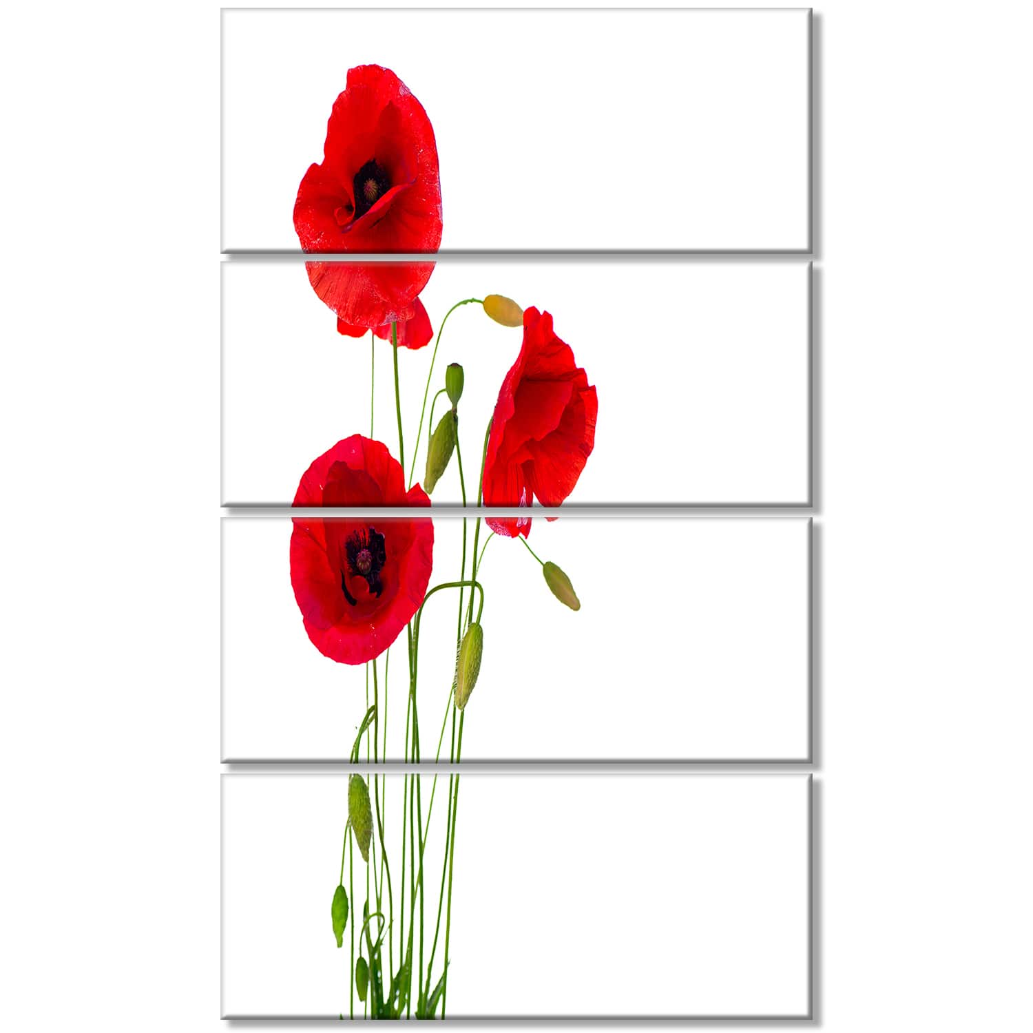 Designart - Isolated Red Poppy Flowers