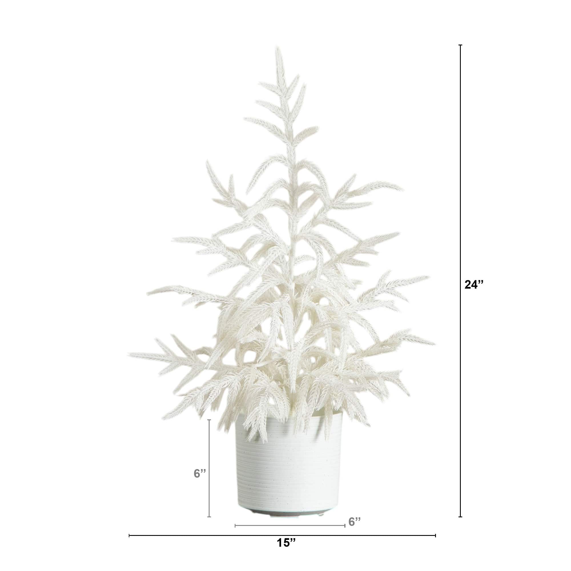 2ft. Artificial Real Touch White Norfolk Island Pine Christmas Tree with Natural Look