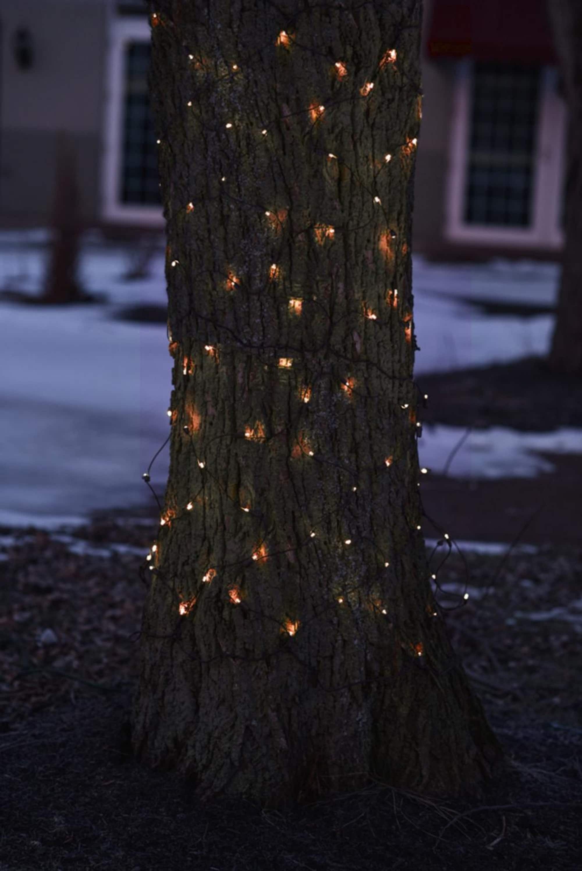 Mini Tree Trunk Wrap Christmas Net Lights - 2' x 8' - Brown Wire - Orange Lights