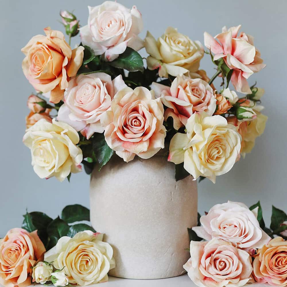 Prestige Botanicals 22" Artificial Real Touch Rose Stem