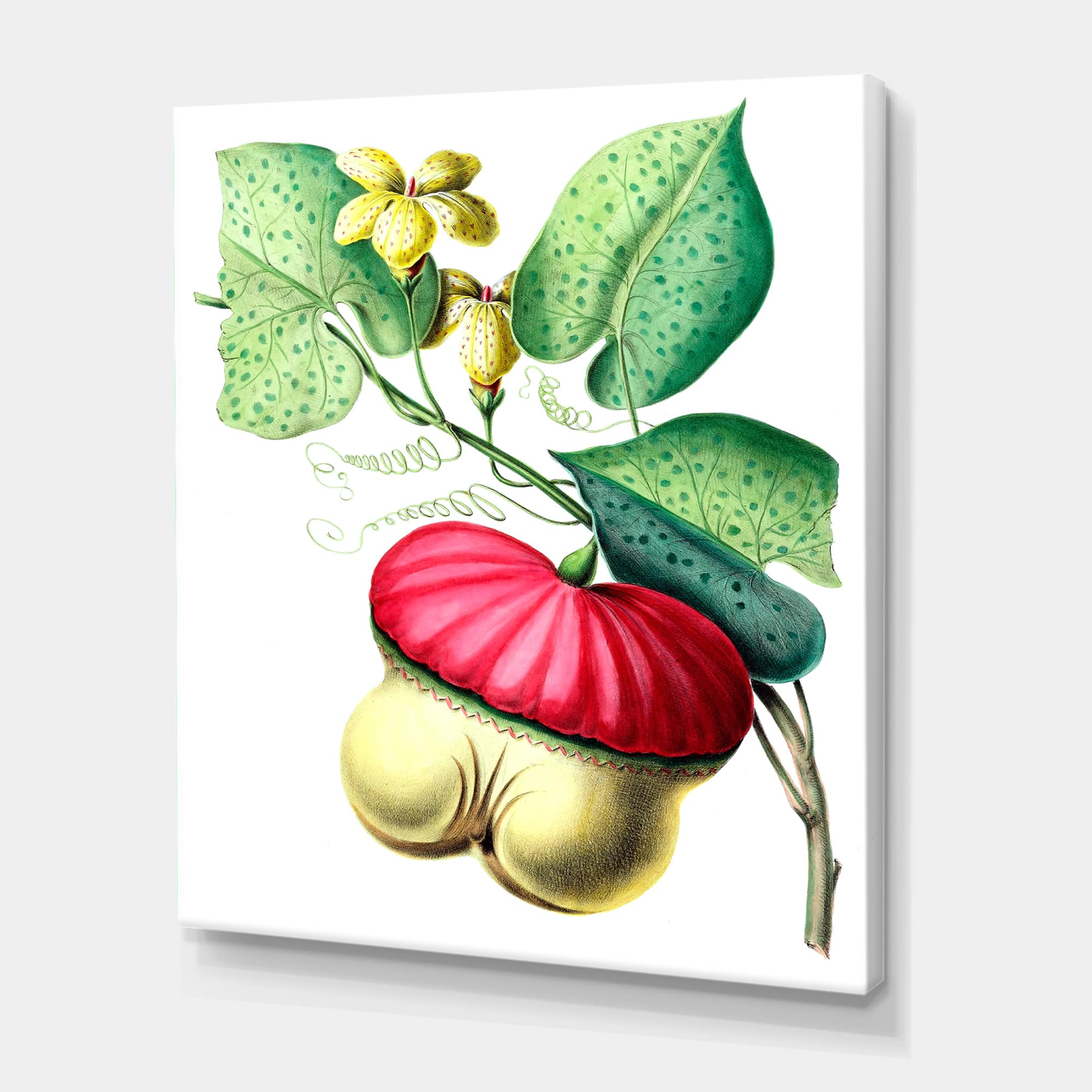 Designart - Vintage American Flowers I