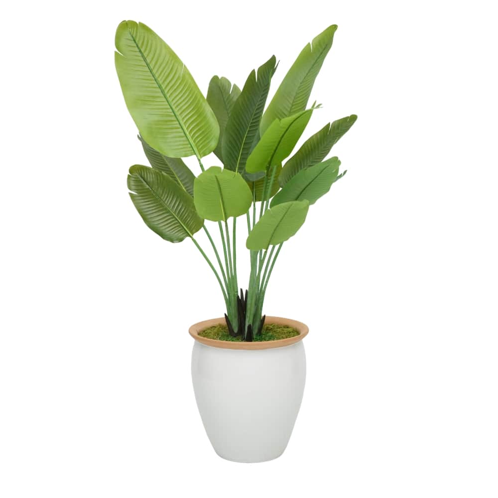 House of Silk Flowers 60" Faux Travelers Palm in Glossy White Ceramic