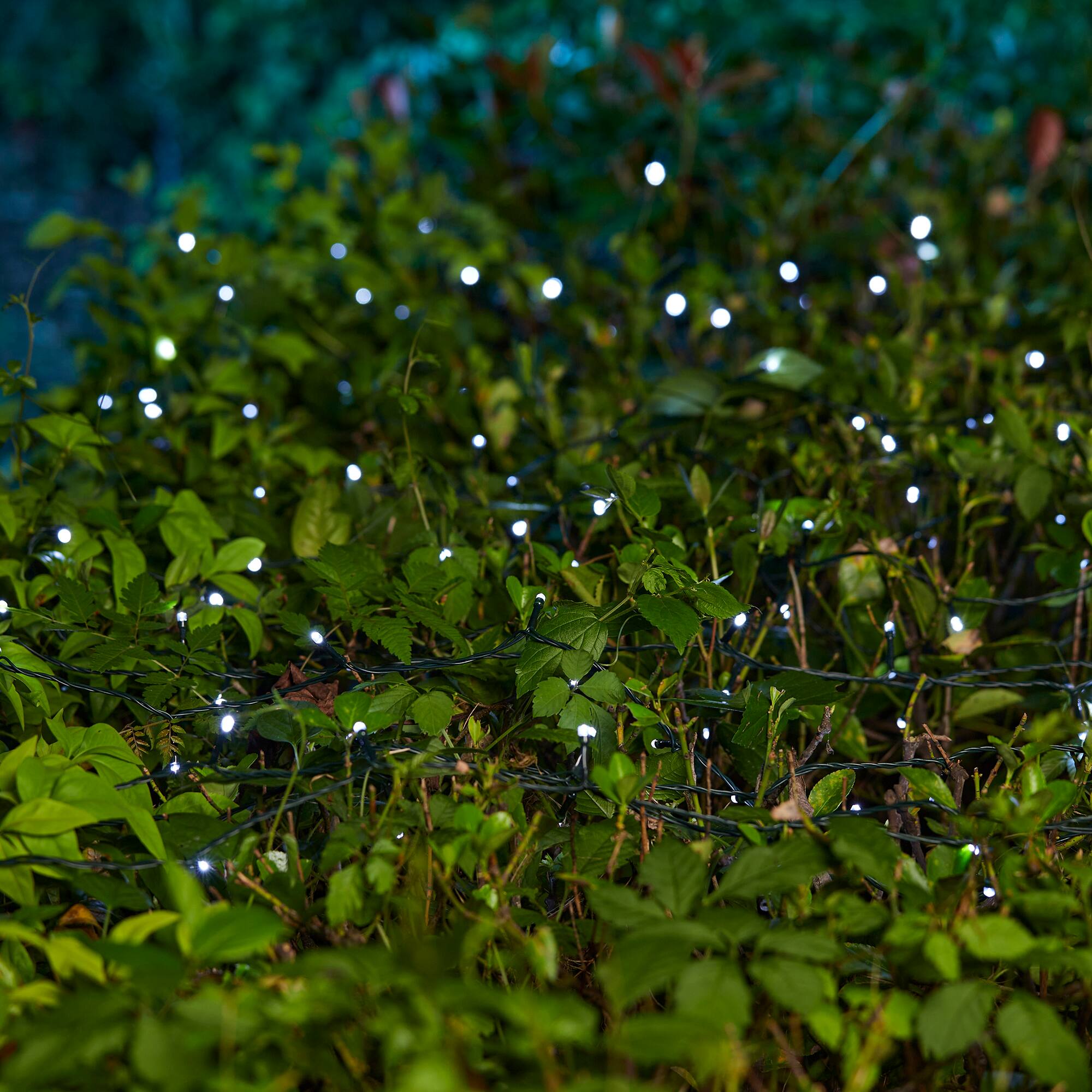Glitzhome® 72ft. 200ct. LED Solar String Light with 200 LED Lights, 2ct.