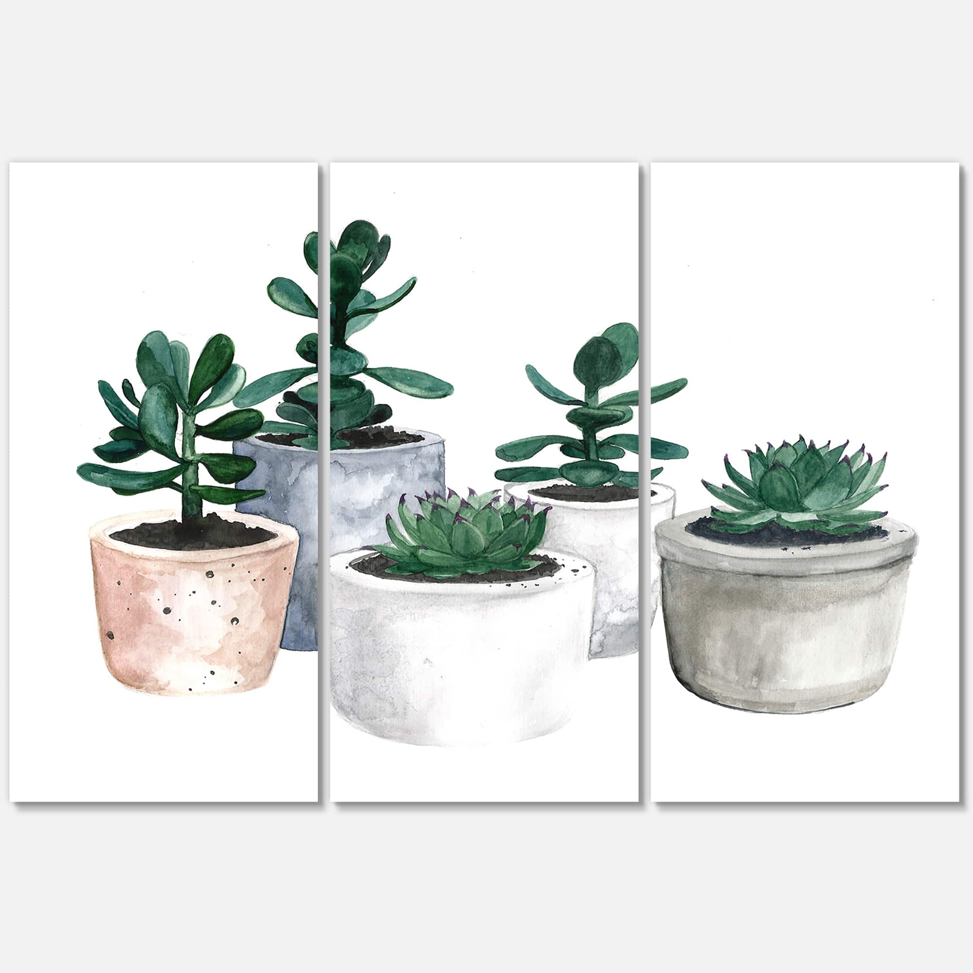 Designart - Cactus and Succulent House Plants VI