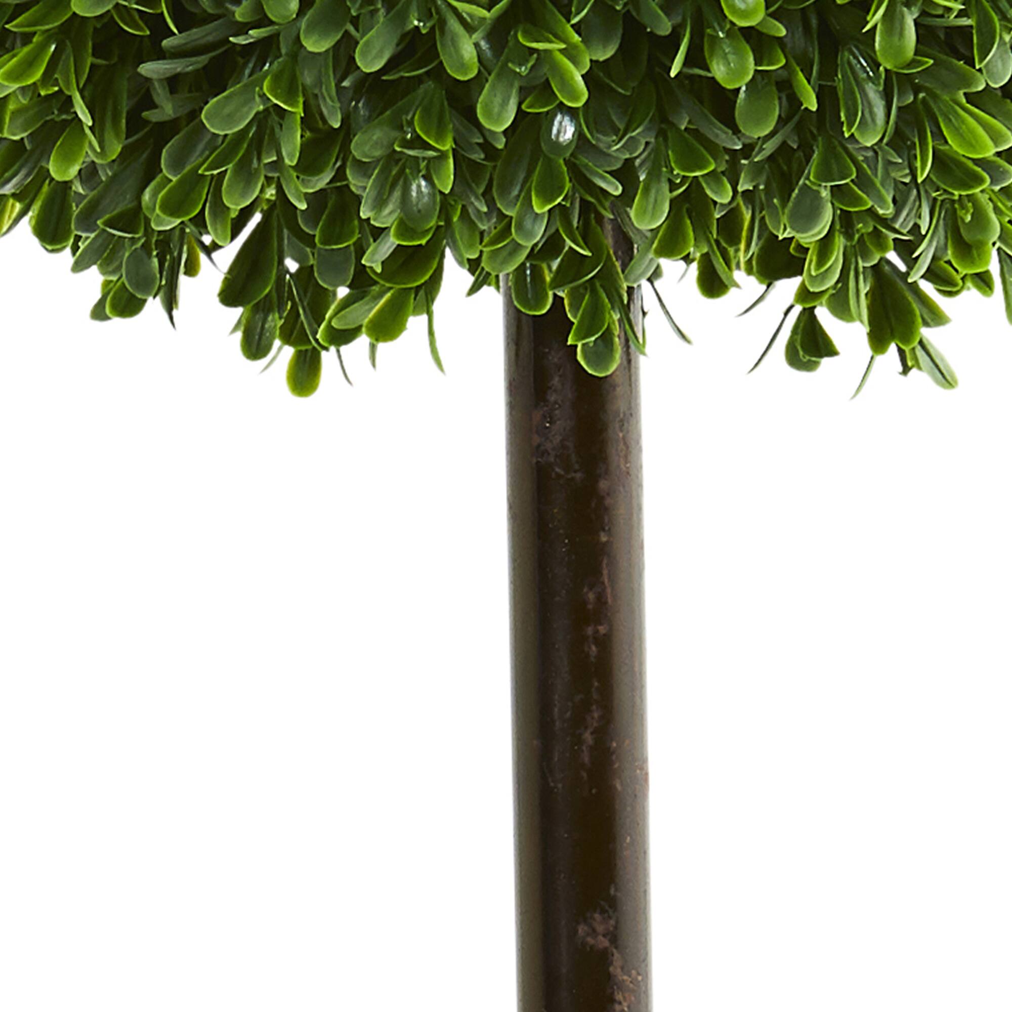 2.5ft. Potted Boxwood Ball Topiary Tree