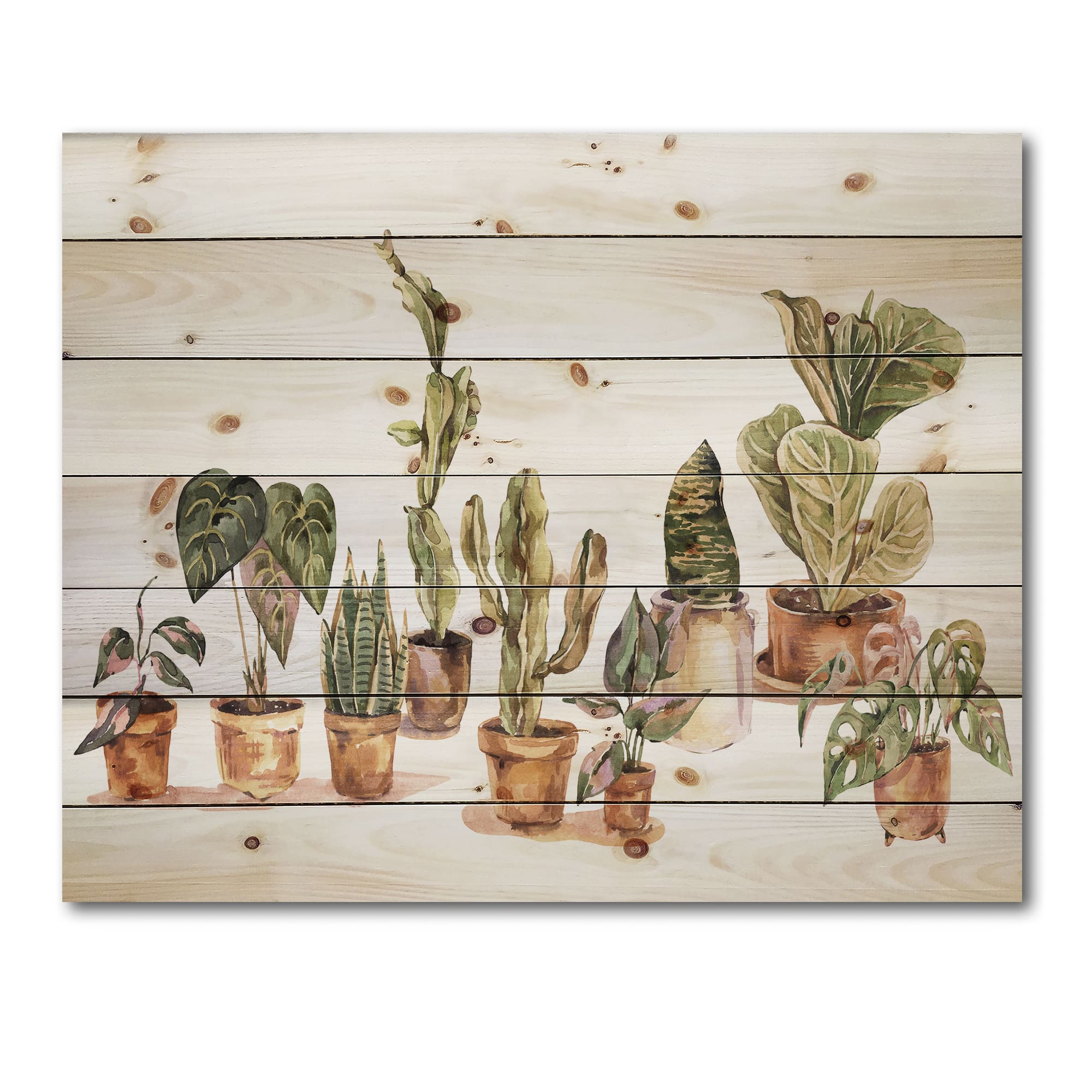Designart - Indoor House Plants Urban Jungle I - Traditional Print on Natural Pine Wood