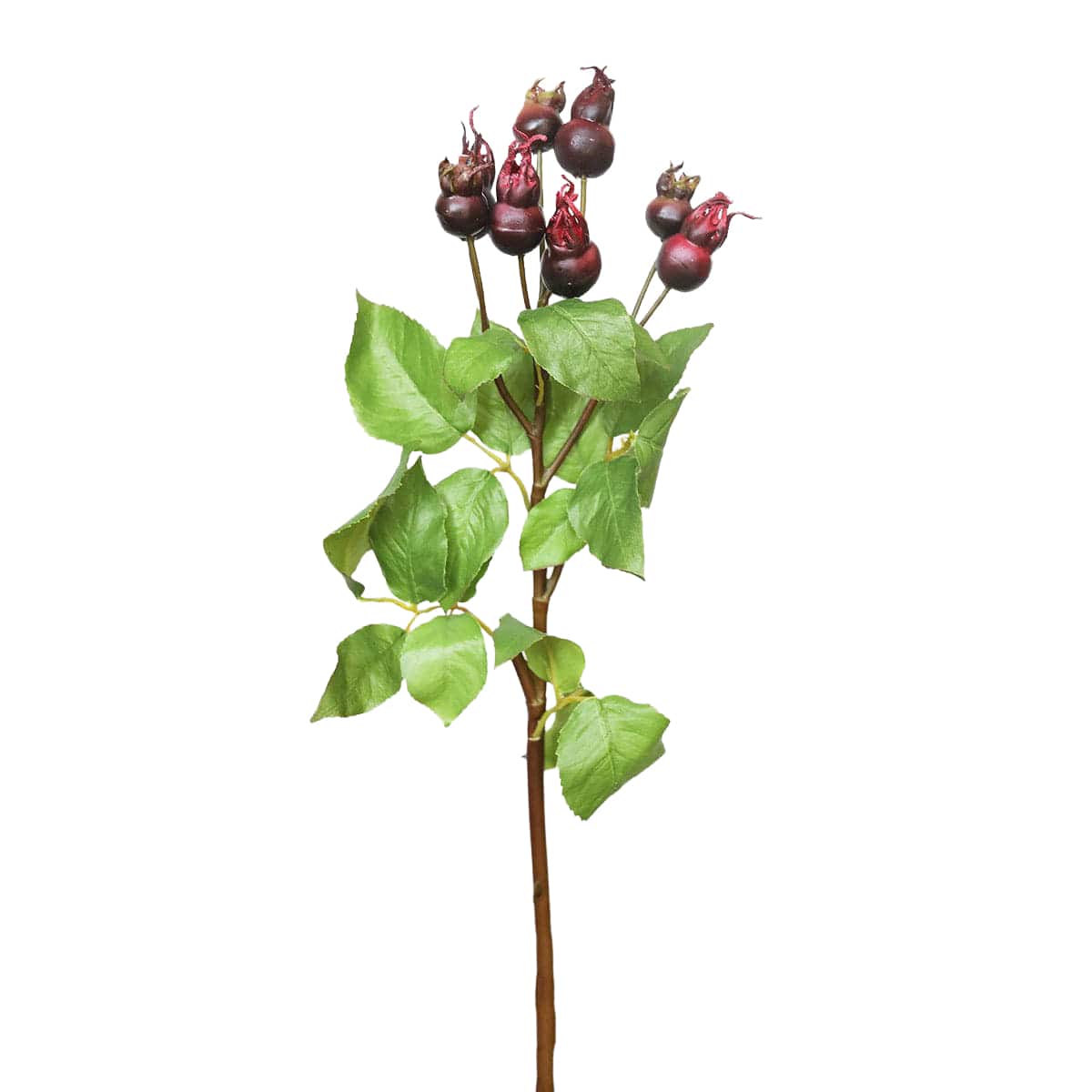 Prestige Botanicals 23.5" Artificial Montana Rose Hip Stem