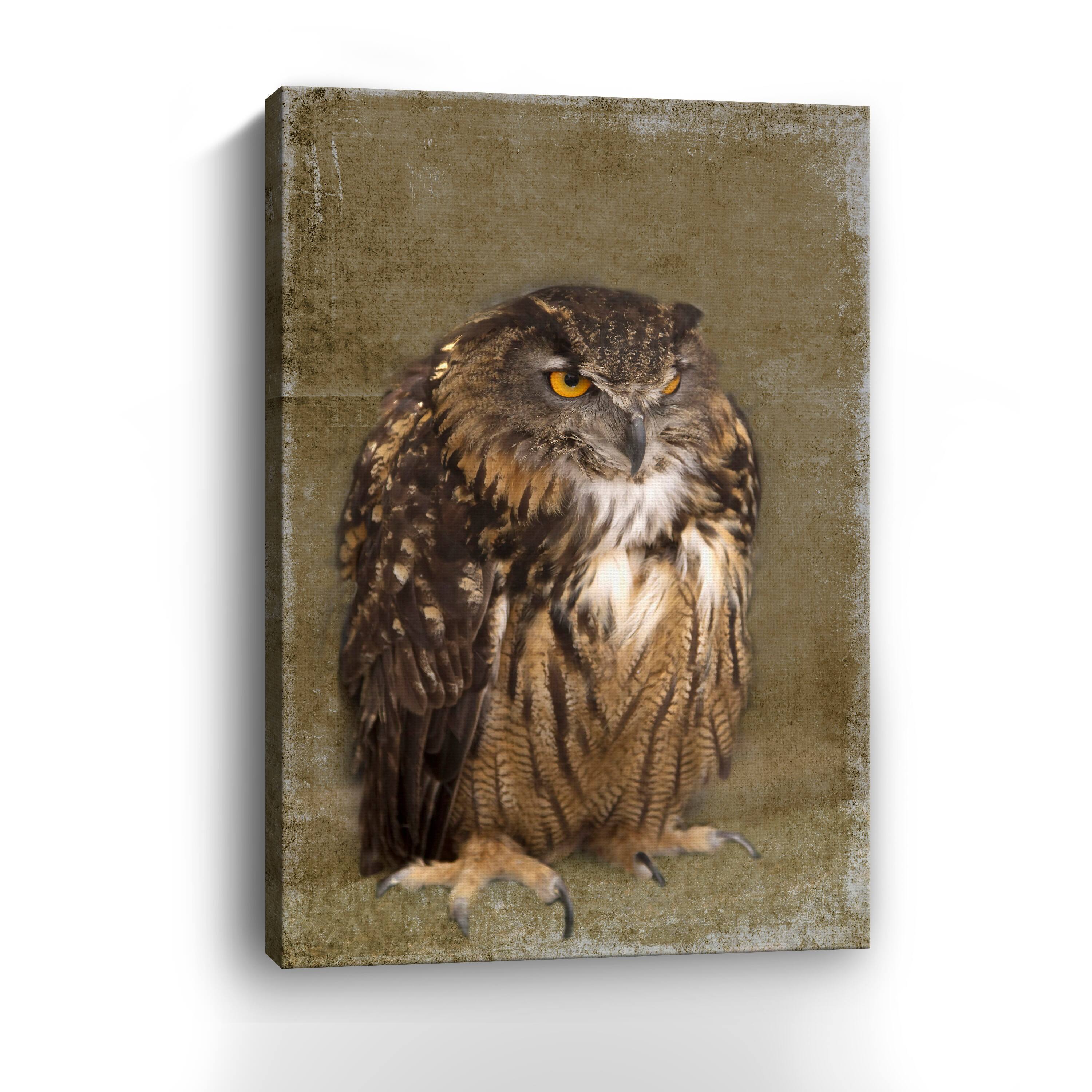 Grumpy Owl Canvas Giclee