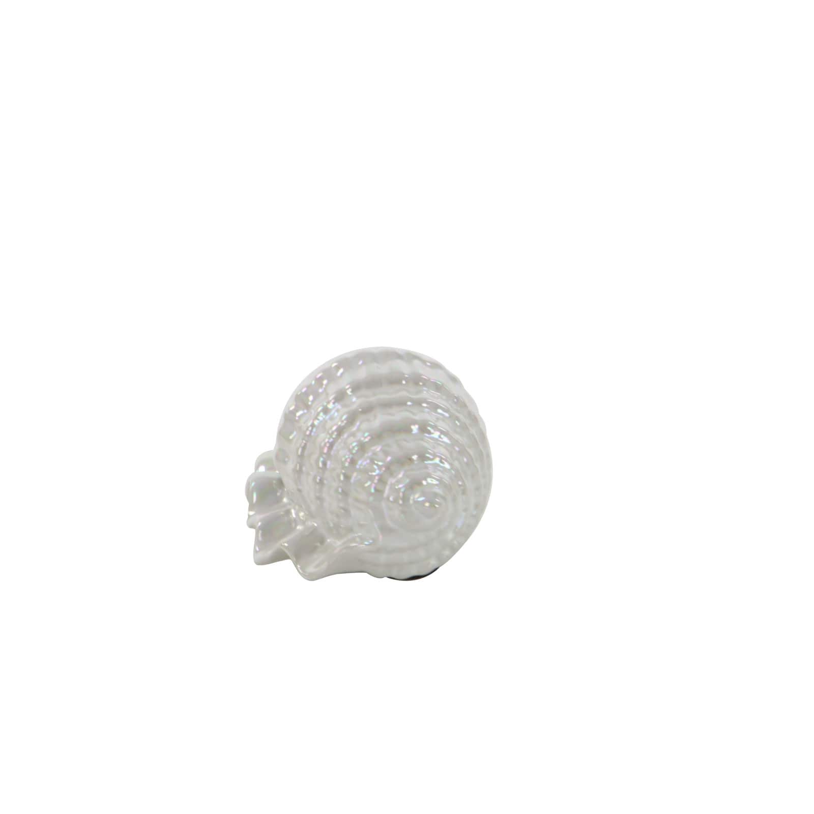 White Porcelain Coastal Seashell Sculpture Set