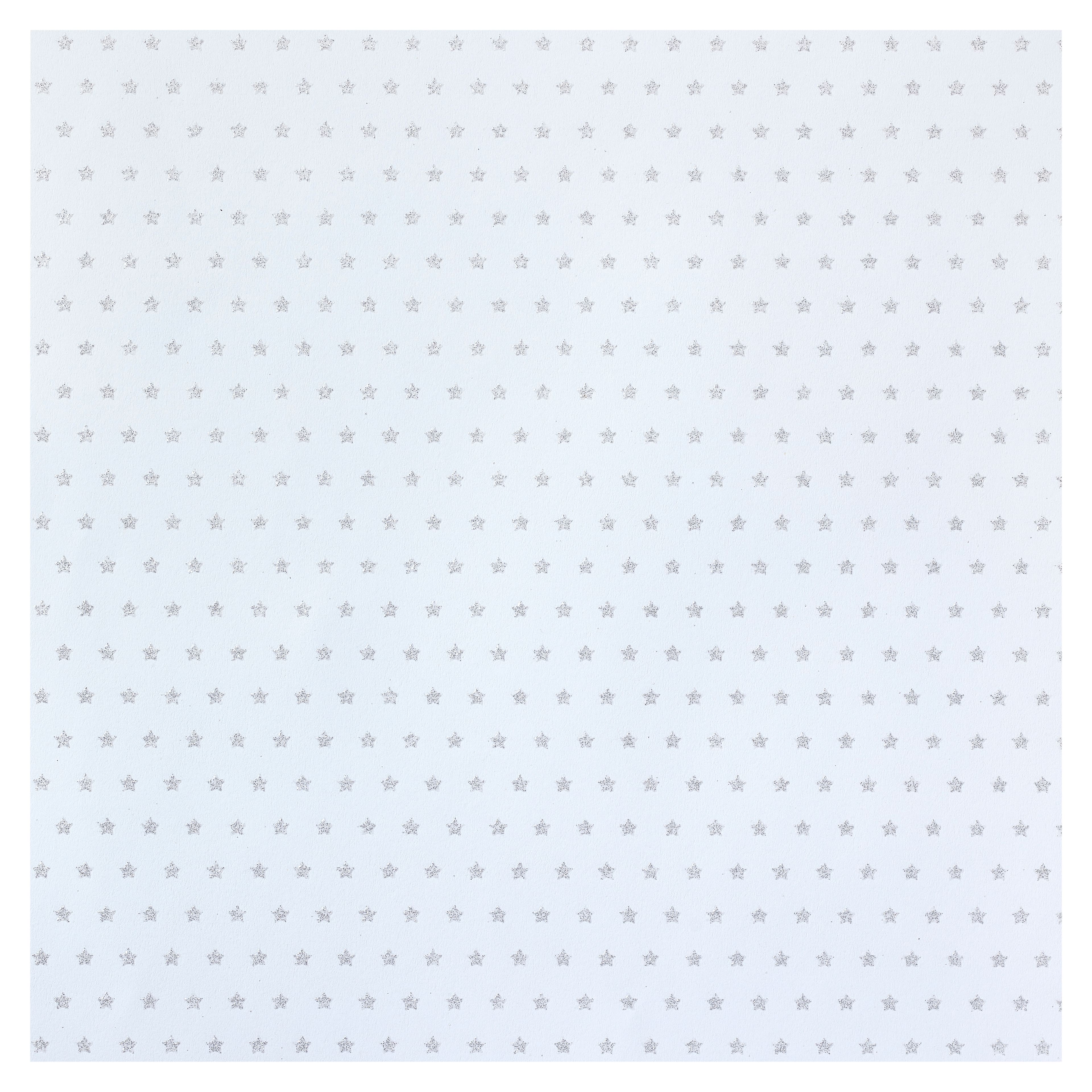 24 Pack: Silver Star Cardstock Paper by Recollections™, 12" x 12"