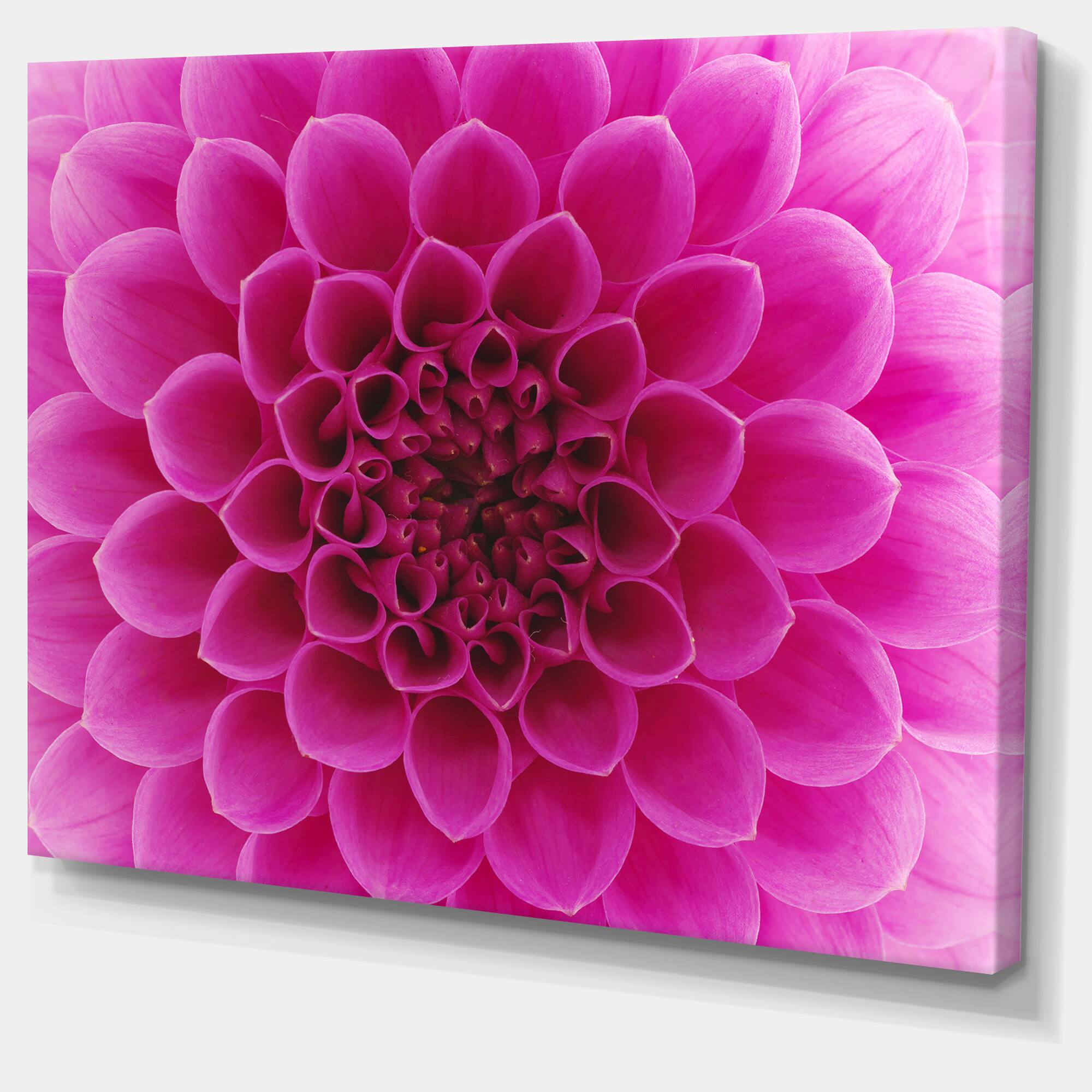 Designart - Dark Pink Abstract Flower Petals