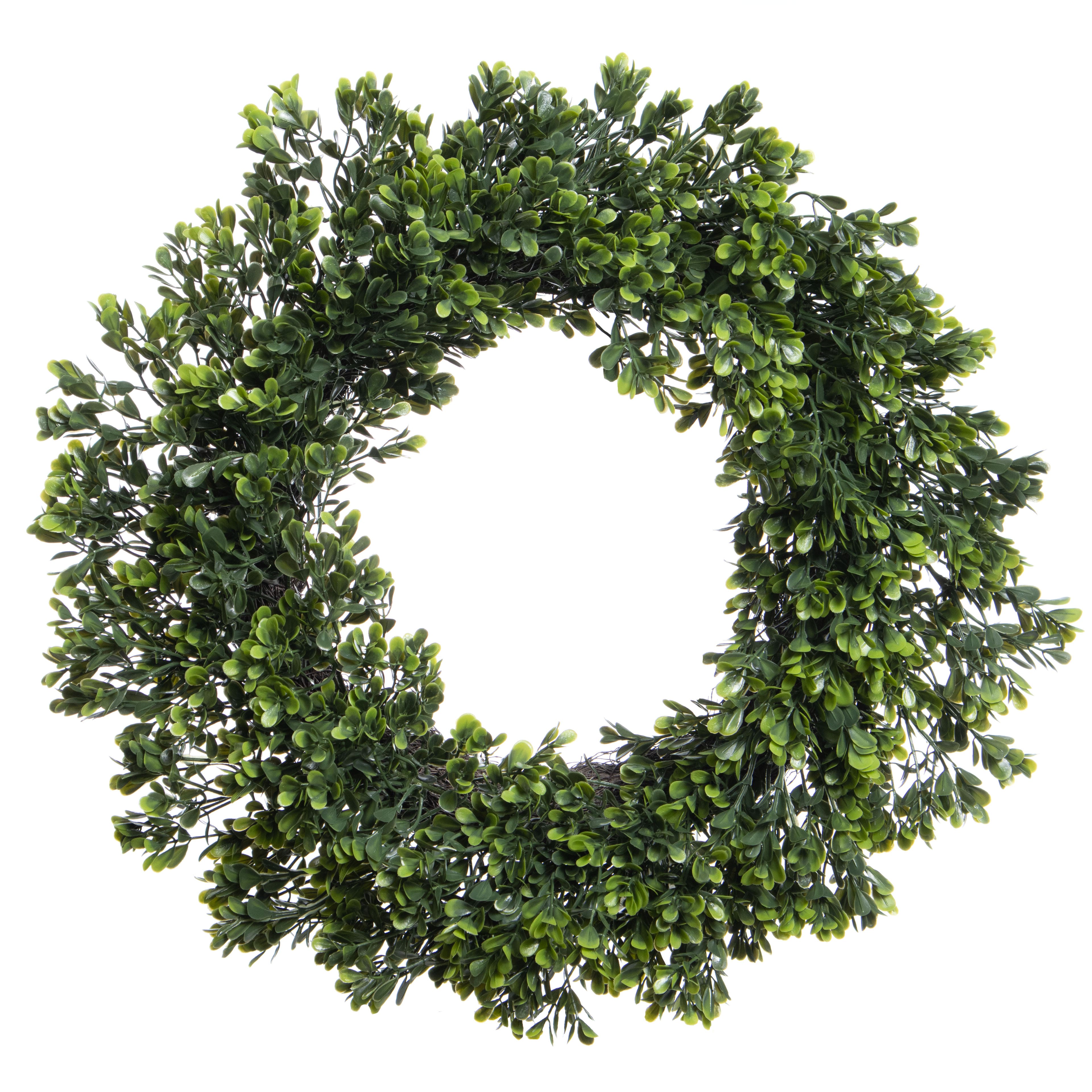 20" Boxwood UV Resistant Wreath by Ashland®