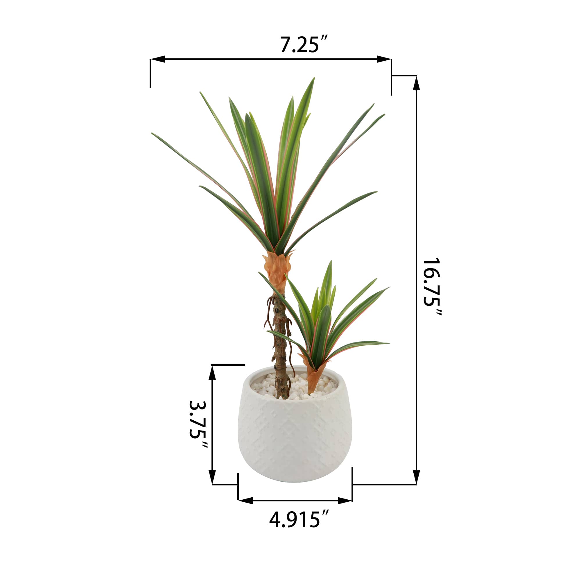 Flora Bunda® 17" Yucca Plant in White Ceramic Planter