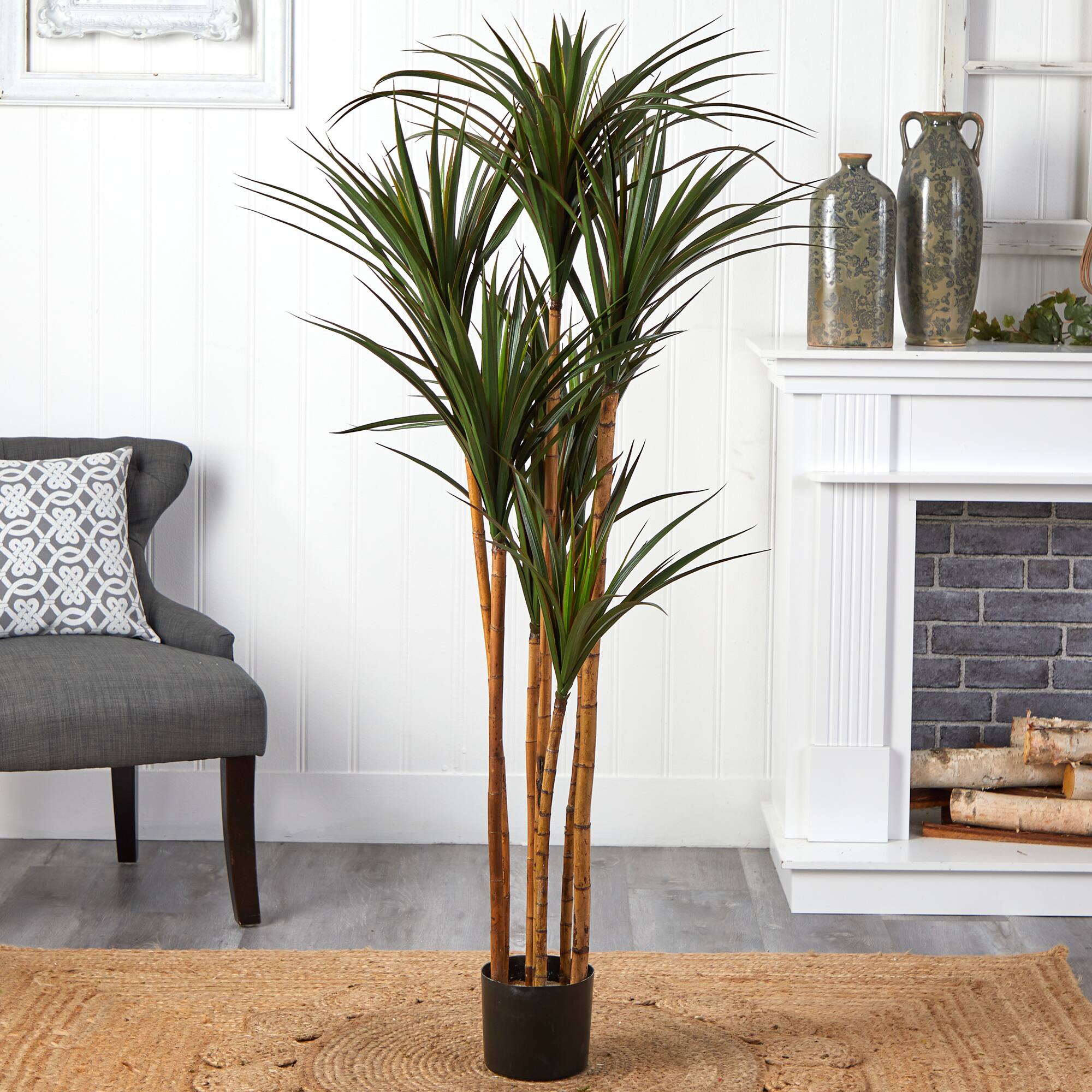 5.5ft. Giant Potted Yucca Tree