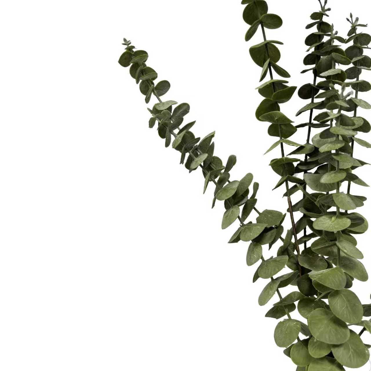 41" Eucalyptus Stem by Ashland®