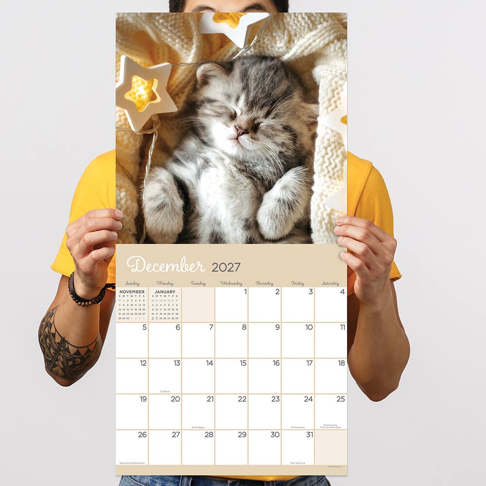 2027 Cat Dreams Wall Calendar