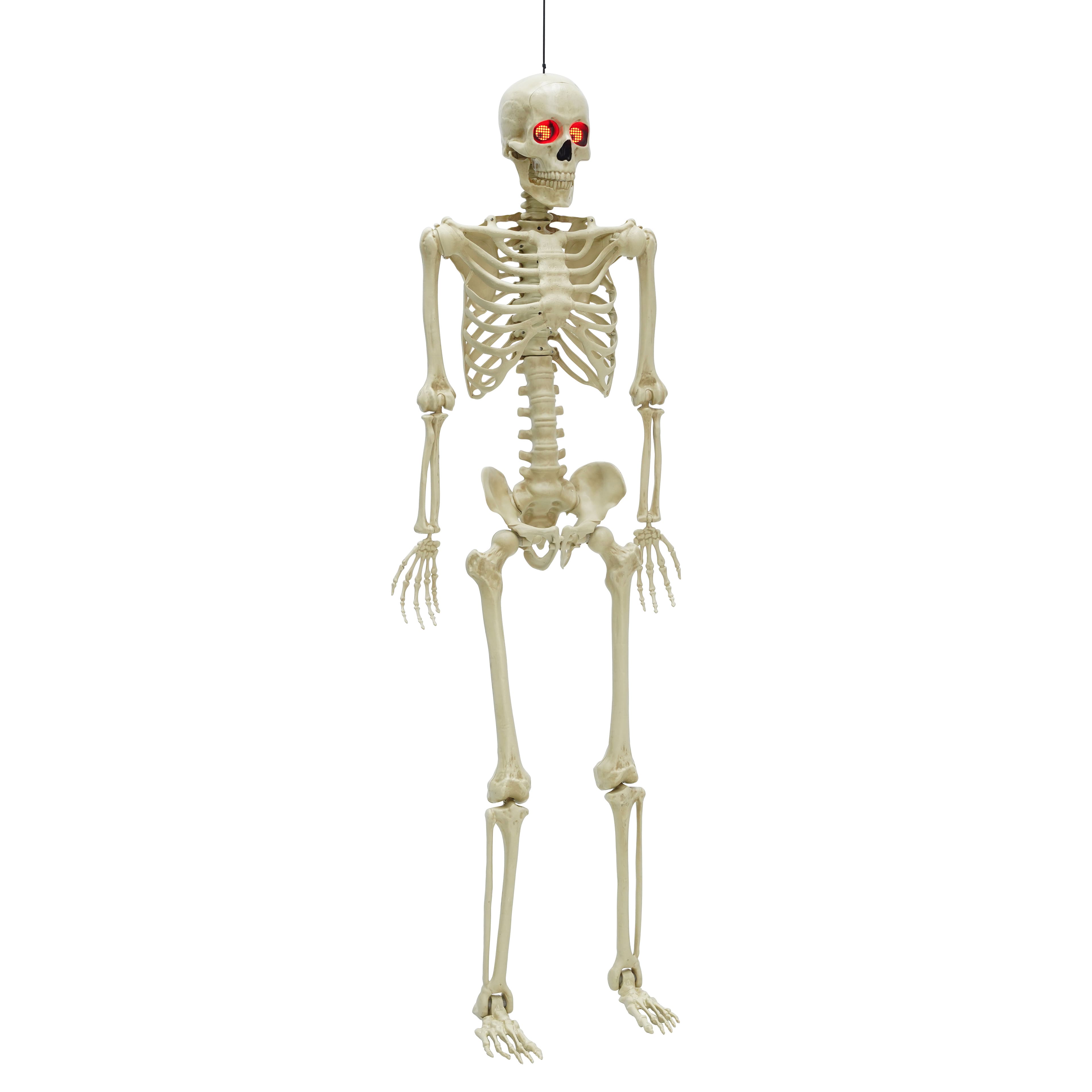 5ft. Light Up Eyes Skeleton by Ashland®
