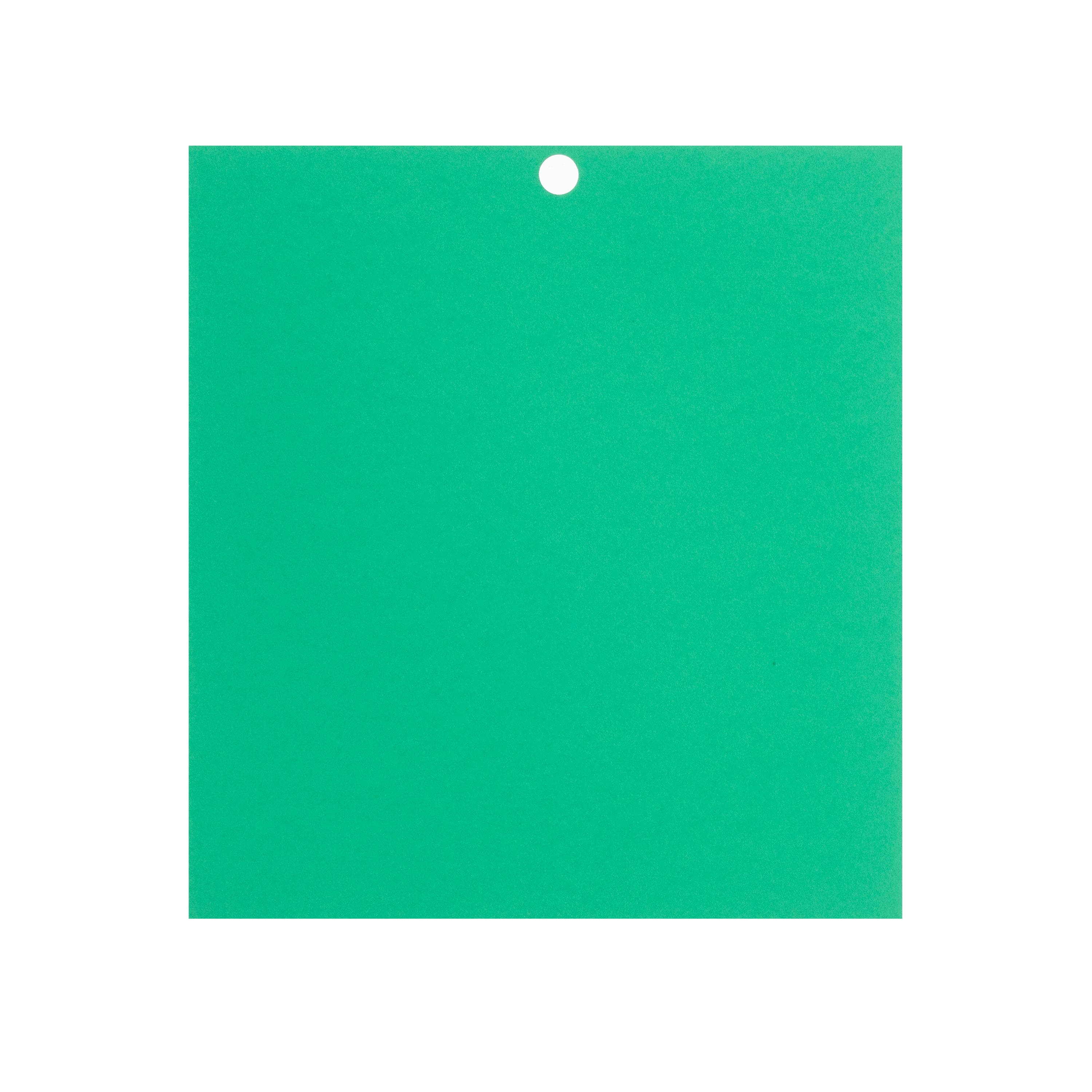 Primary 6" x 6.5" Cardstock Paper by Recollections™, 100 Sheets