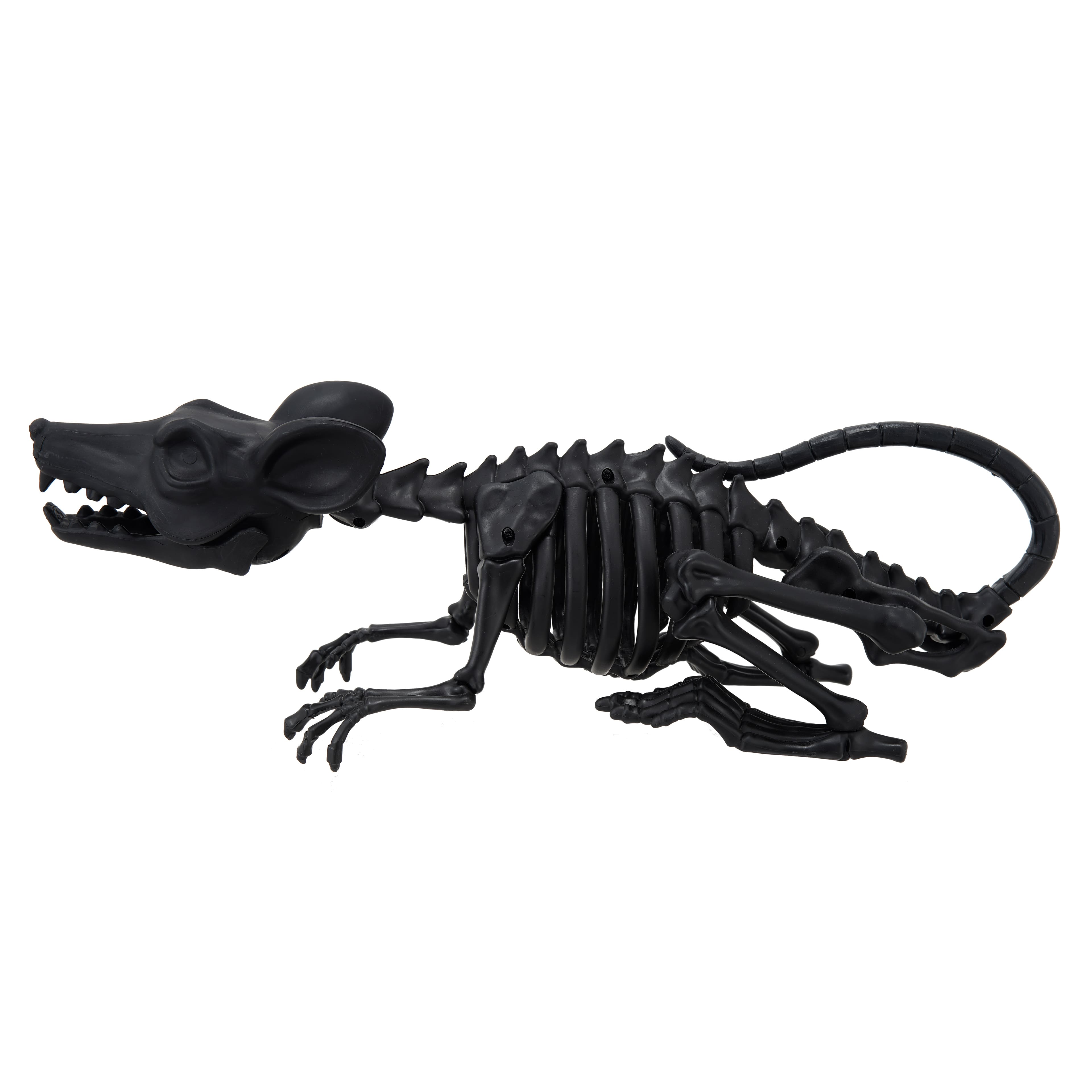 14" Mouse Skeleton by Ashland®