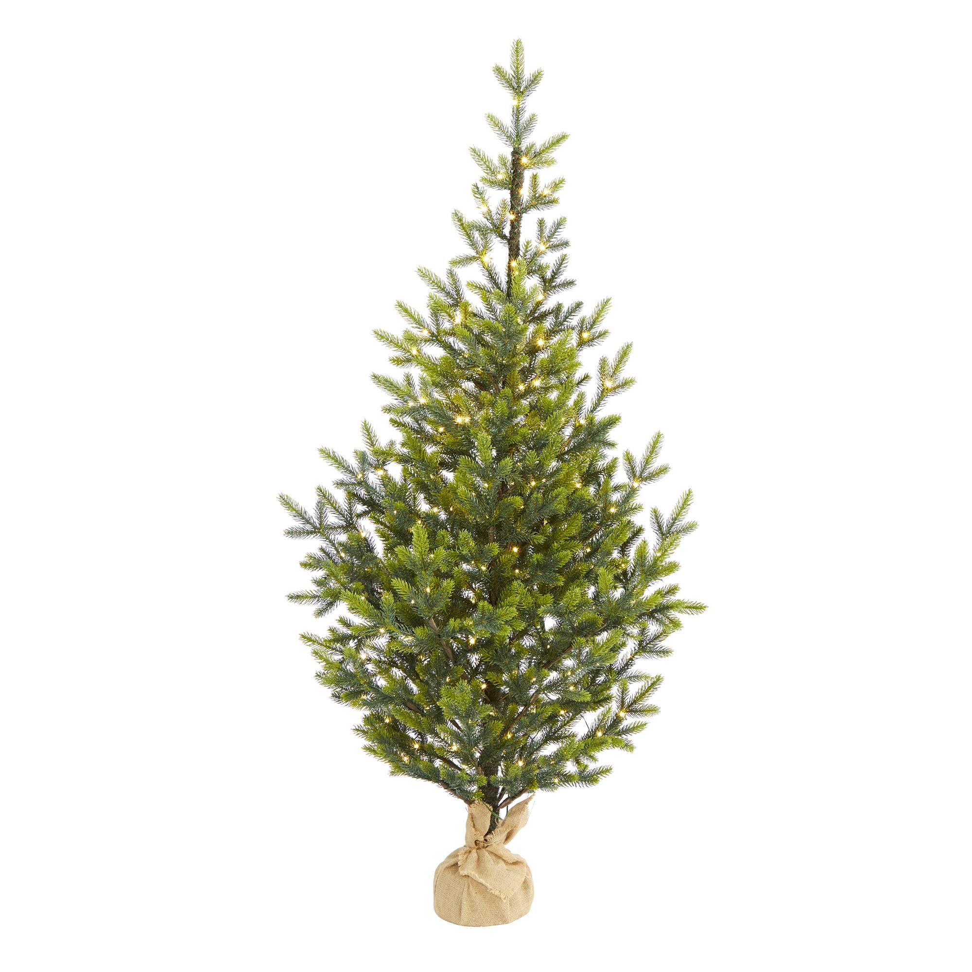 5ft. Pre-Lit Fraser Fir Natural Look Artificial Christmas Tree with Clear LED Lights