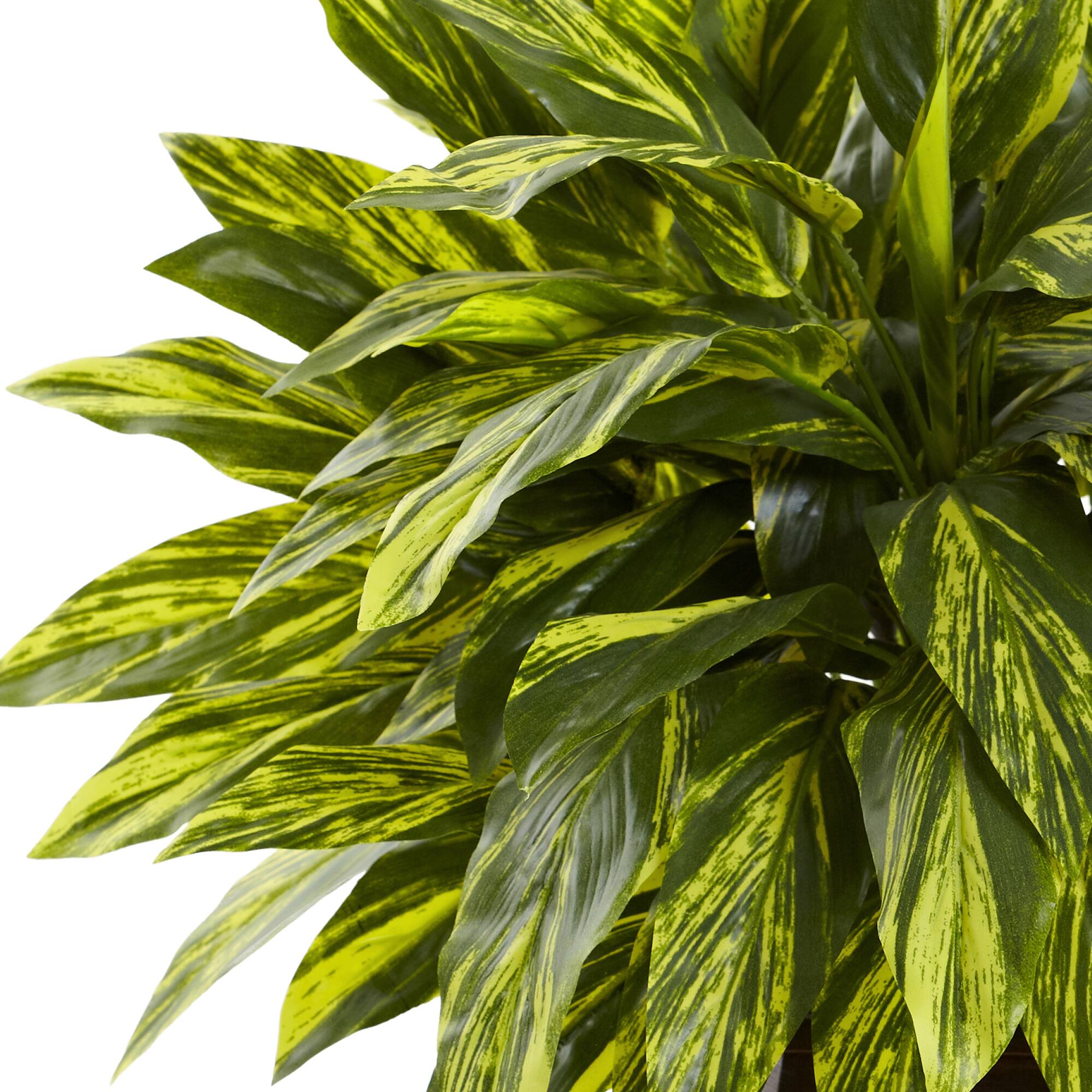19.5" Spiderwort Plant with Hexagon Planter
