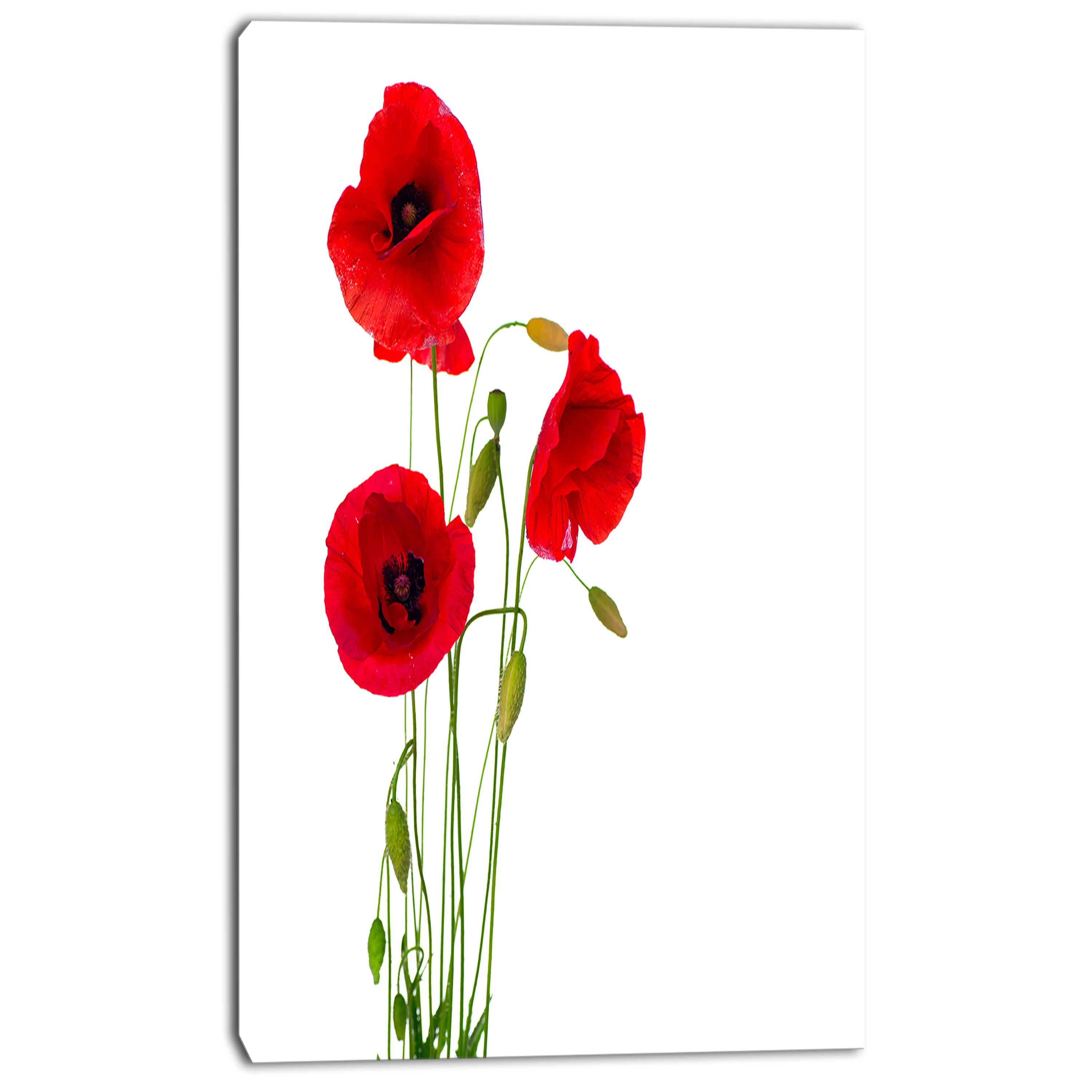 Designart - Isolated Red Poppy Flowers