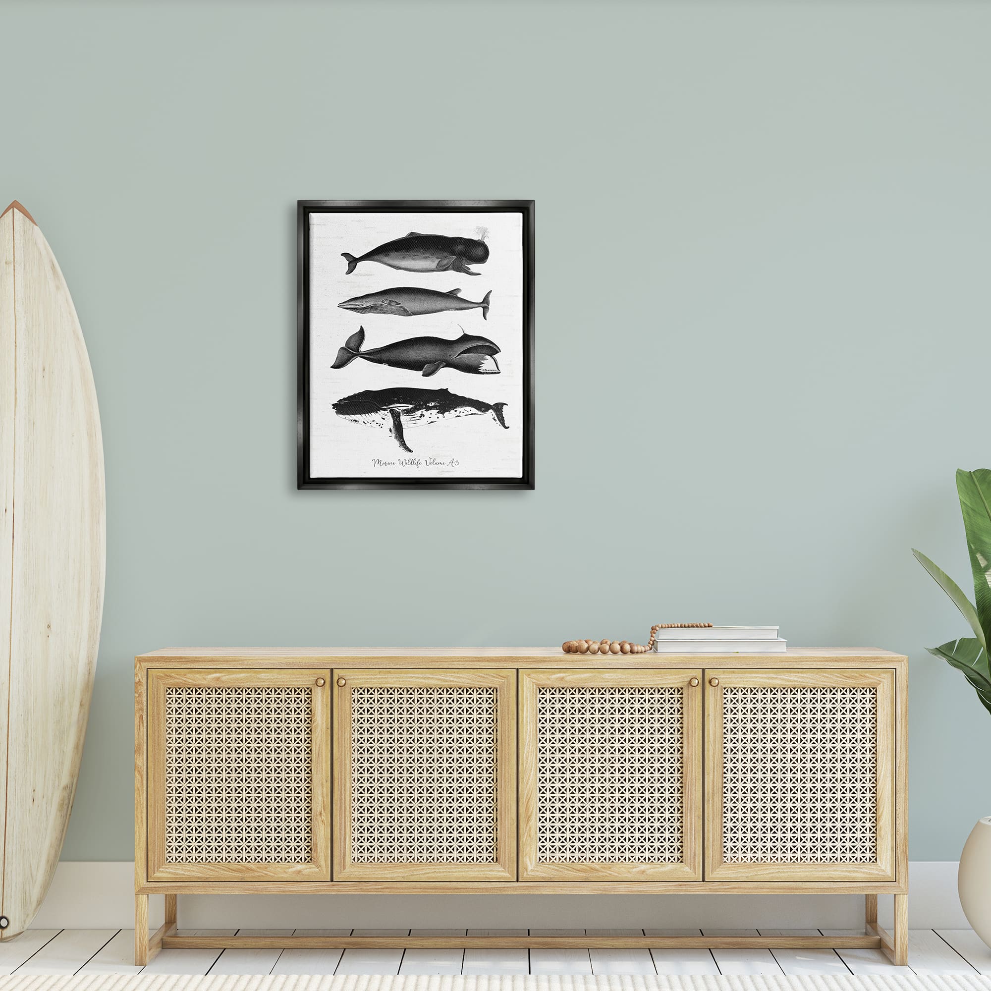 Stupell Industries Marine Wildlife Whales Drawings Diagram Framed Floater Canvas Wall Art