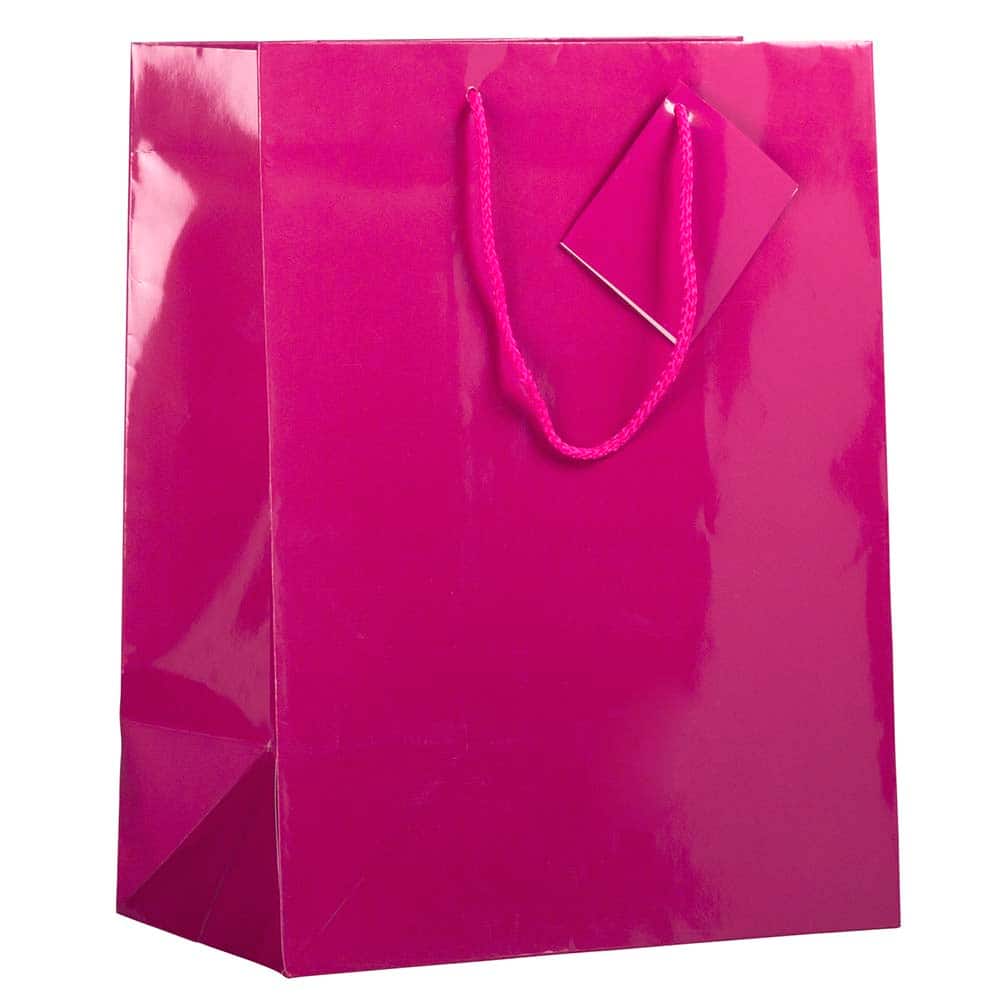 JAM Paper Large Glossy Gift Bags with Rope Handles, 3ct.