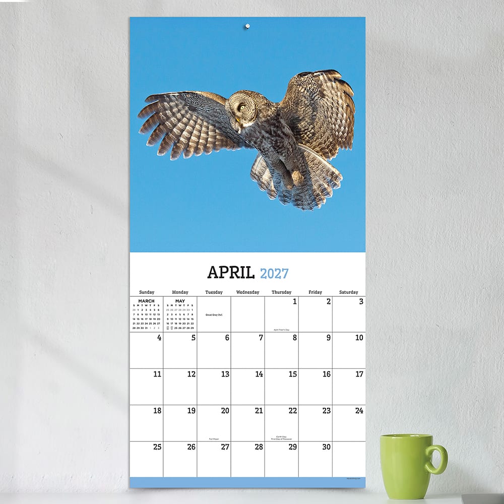 2027 Owls Wall Calendar