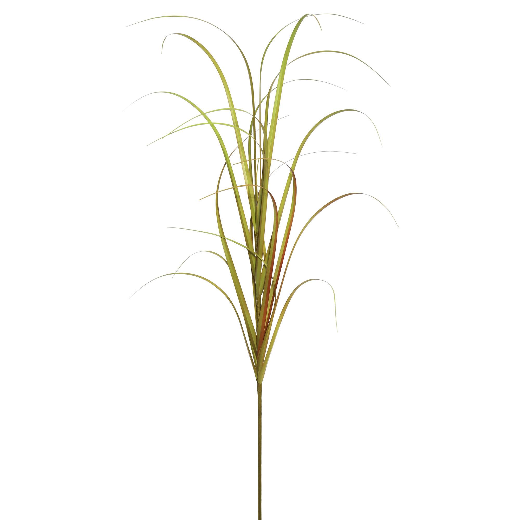 6 Pack: Mixed Brown Grass Spray