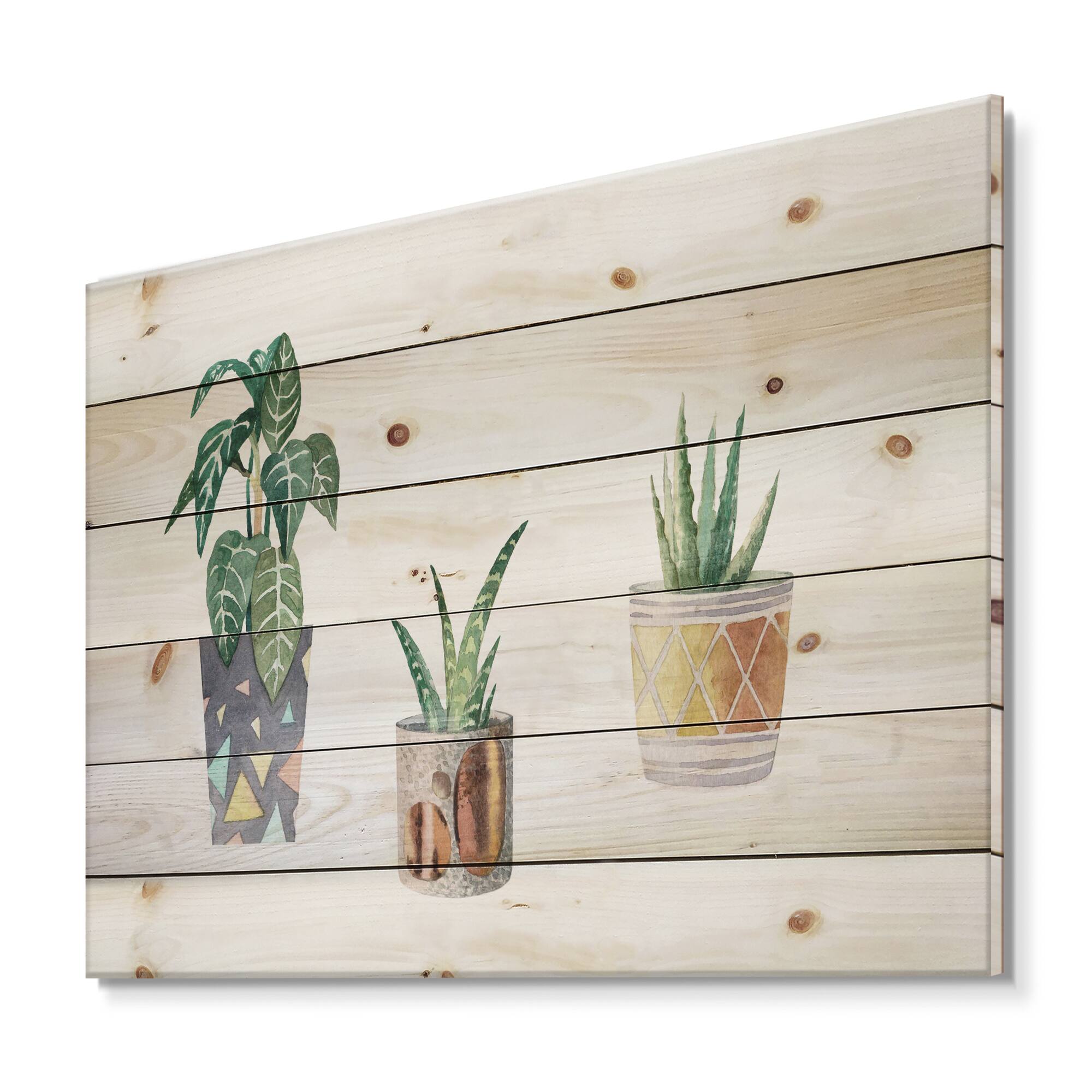 Designart - Three Potted Houseplants - Traditional Print on Natural Pine Wood
