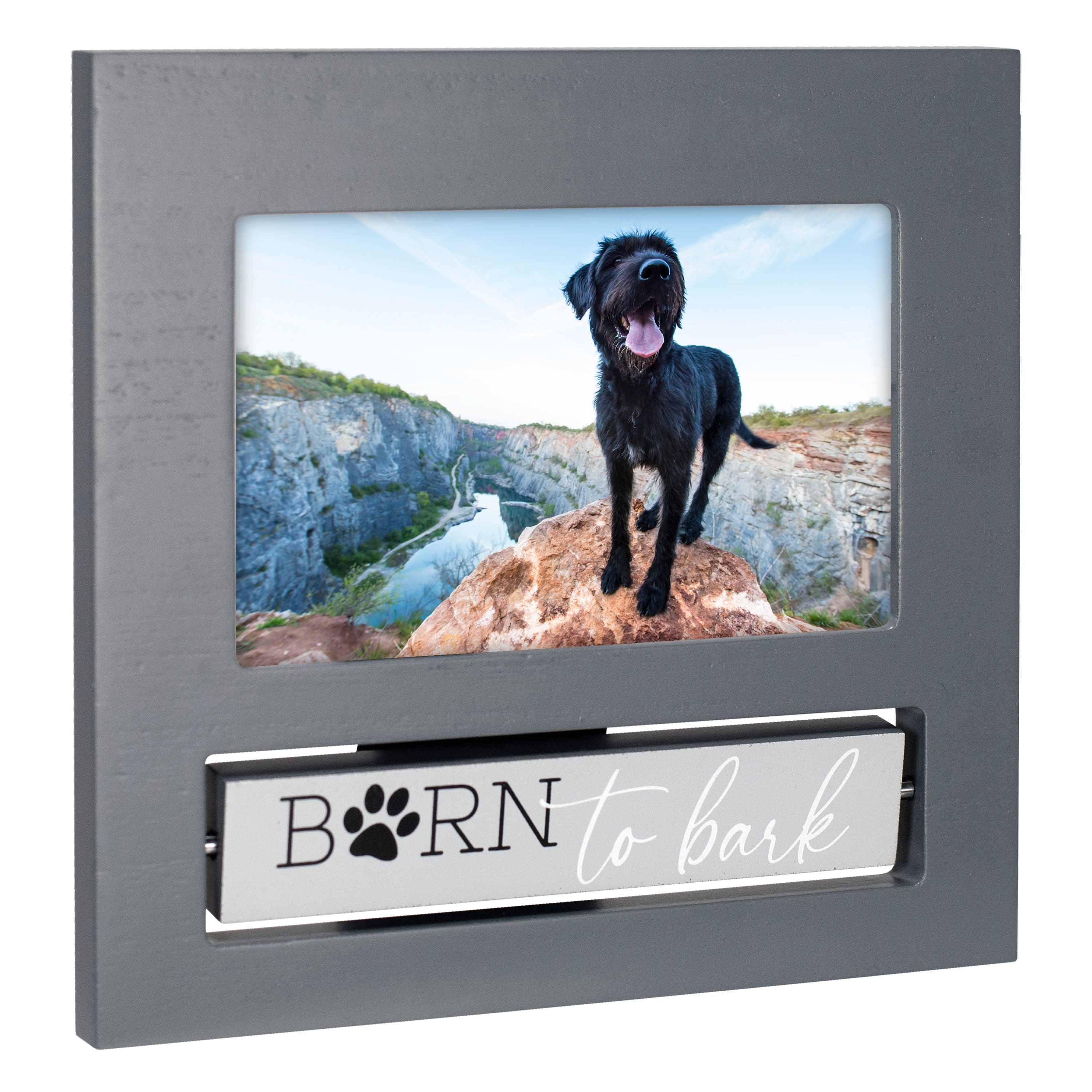 Malden International Designs Born to Bark, Cold Nose Warm Heart Gray Flip It Photo Frame