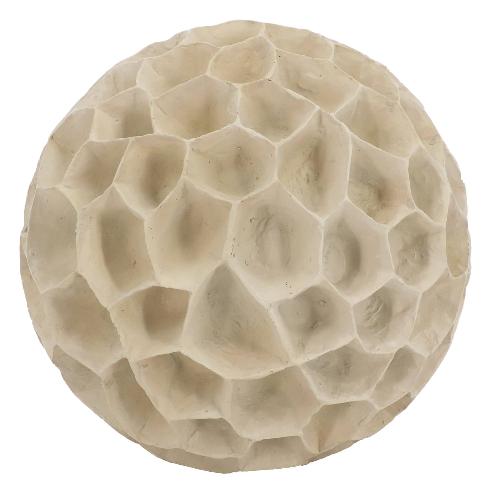 Coral Tabletop Décor by Ashland®