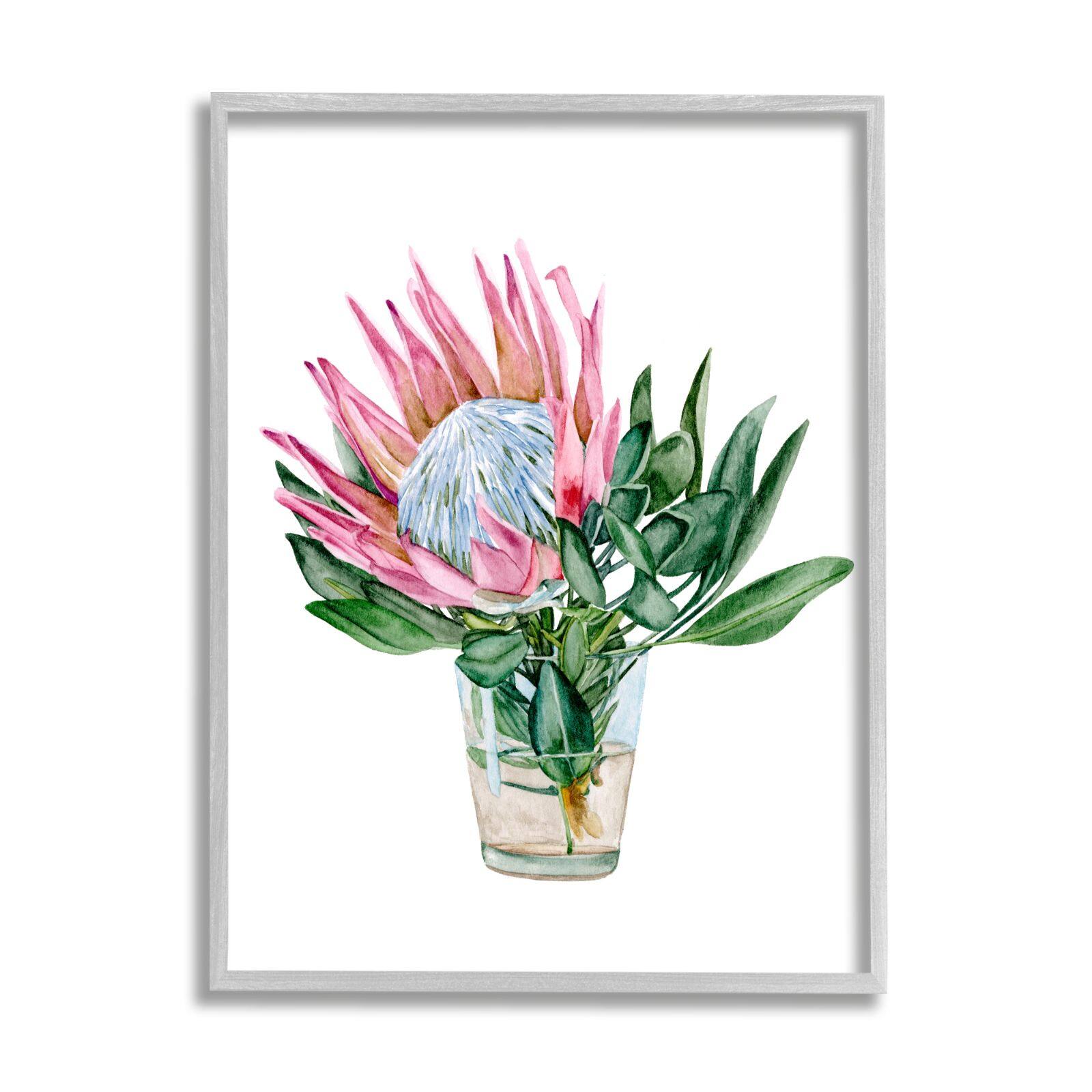 Stupell Industries Blushing Protea Flower Glass Watercolor Flower Still Life Framed Wall Art