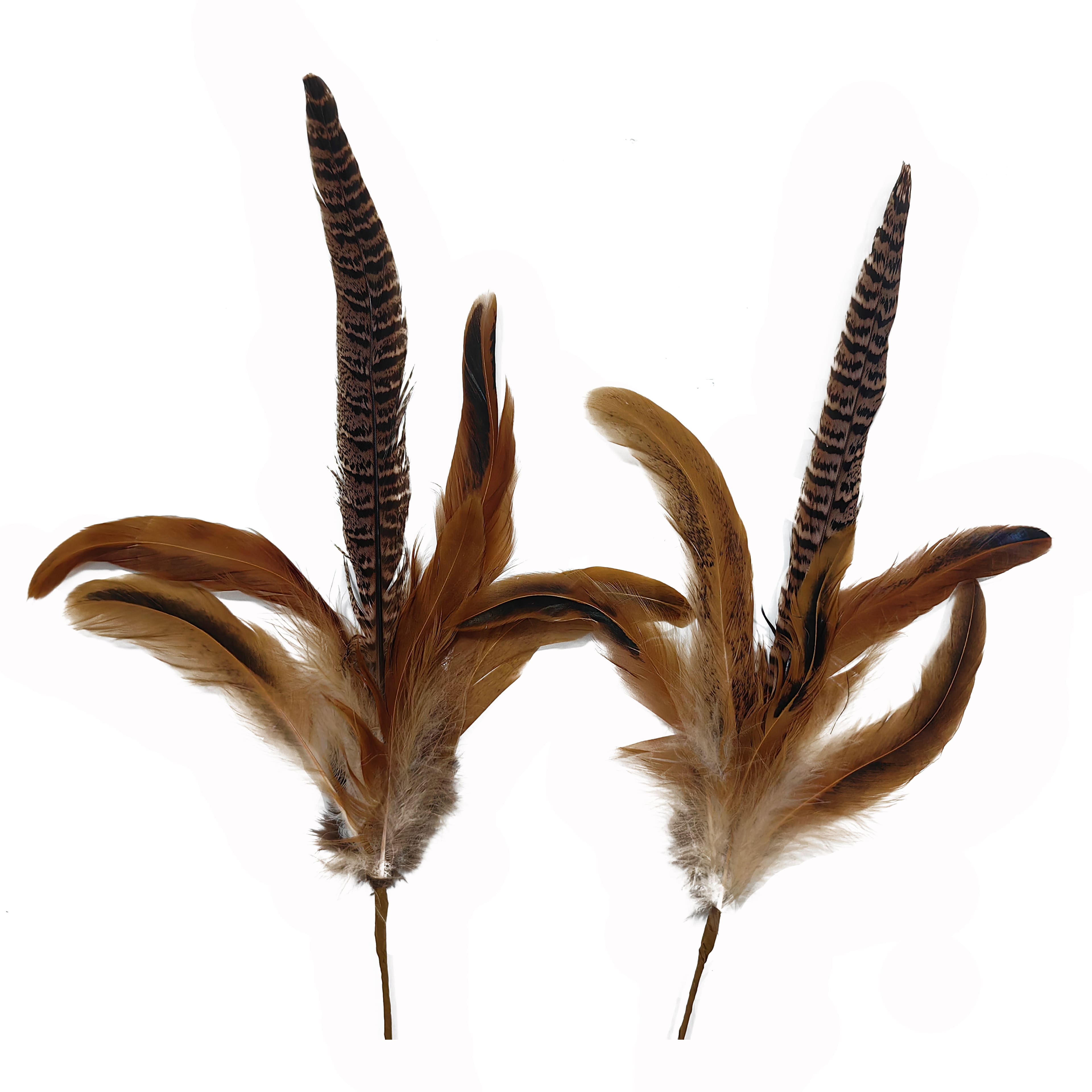 12 Pack: 2ct. (24 total) 23" Feather Picks by Ashland®