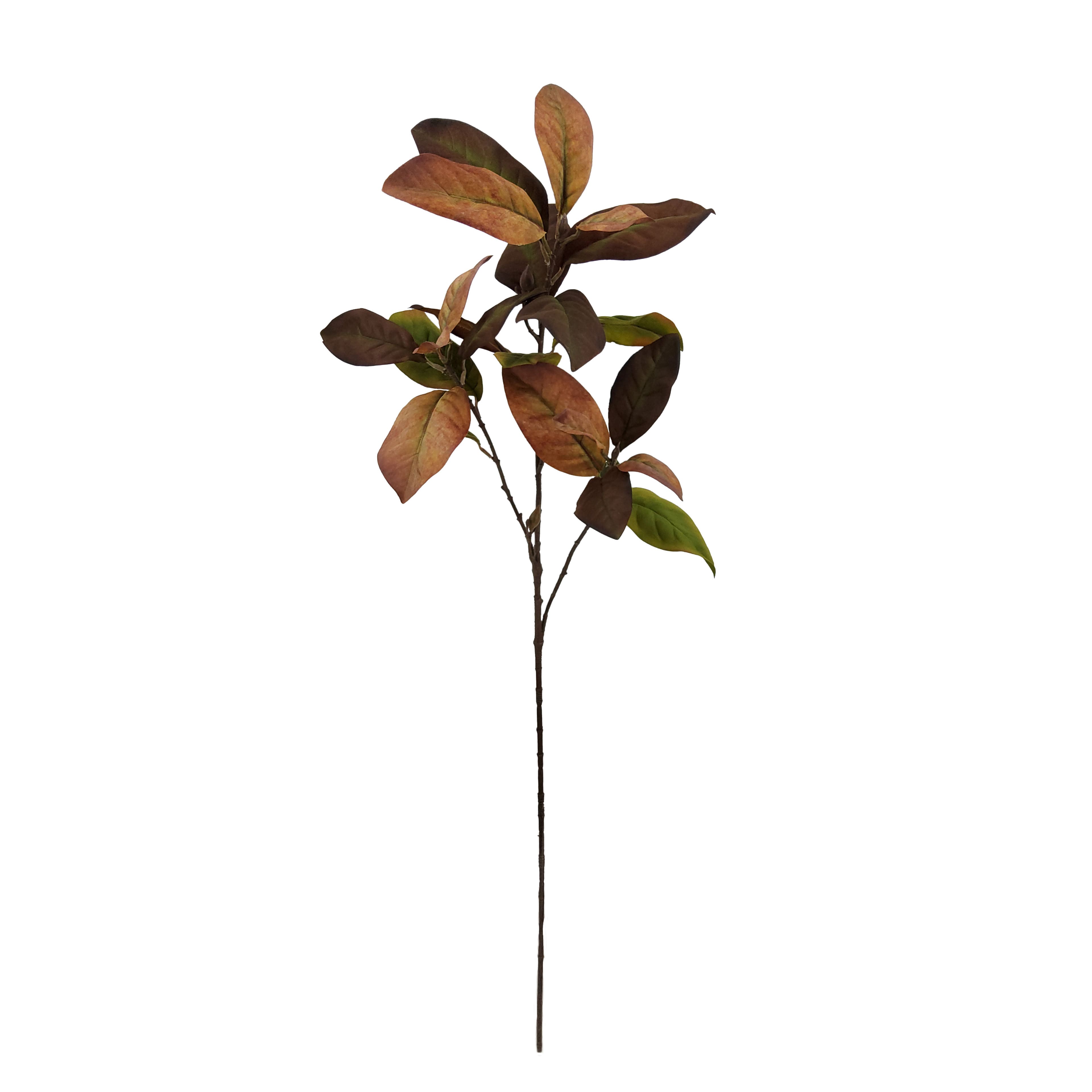 37.5" Brown & Green Magnolia Leaf Stem by Ashland®