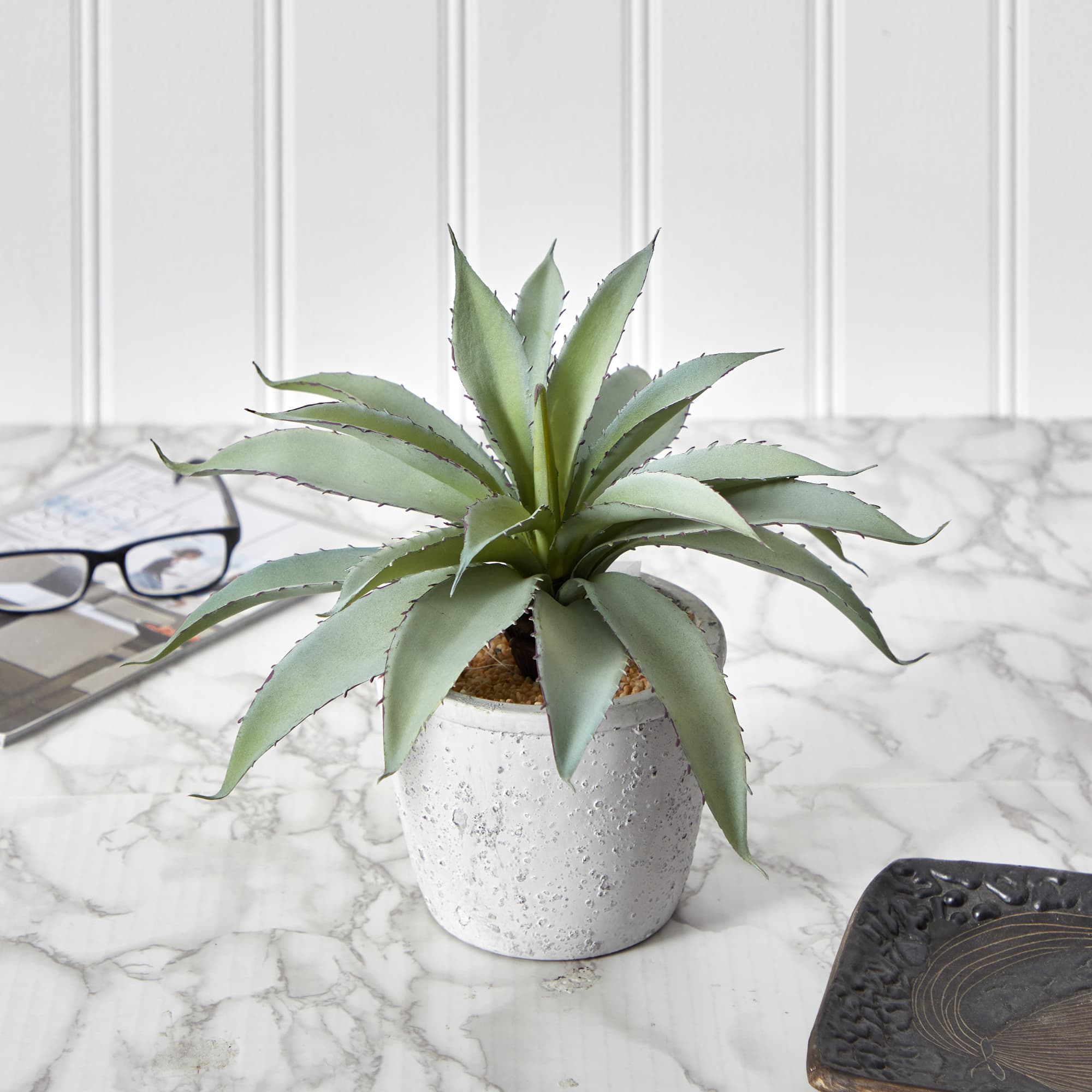 9" Potted Aloe Succulent Plant