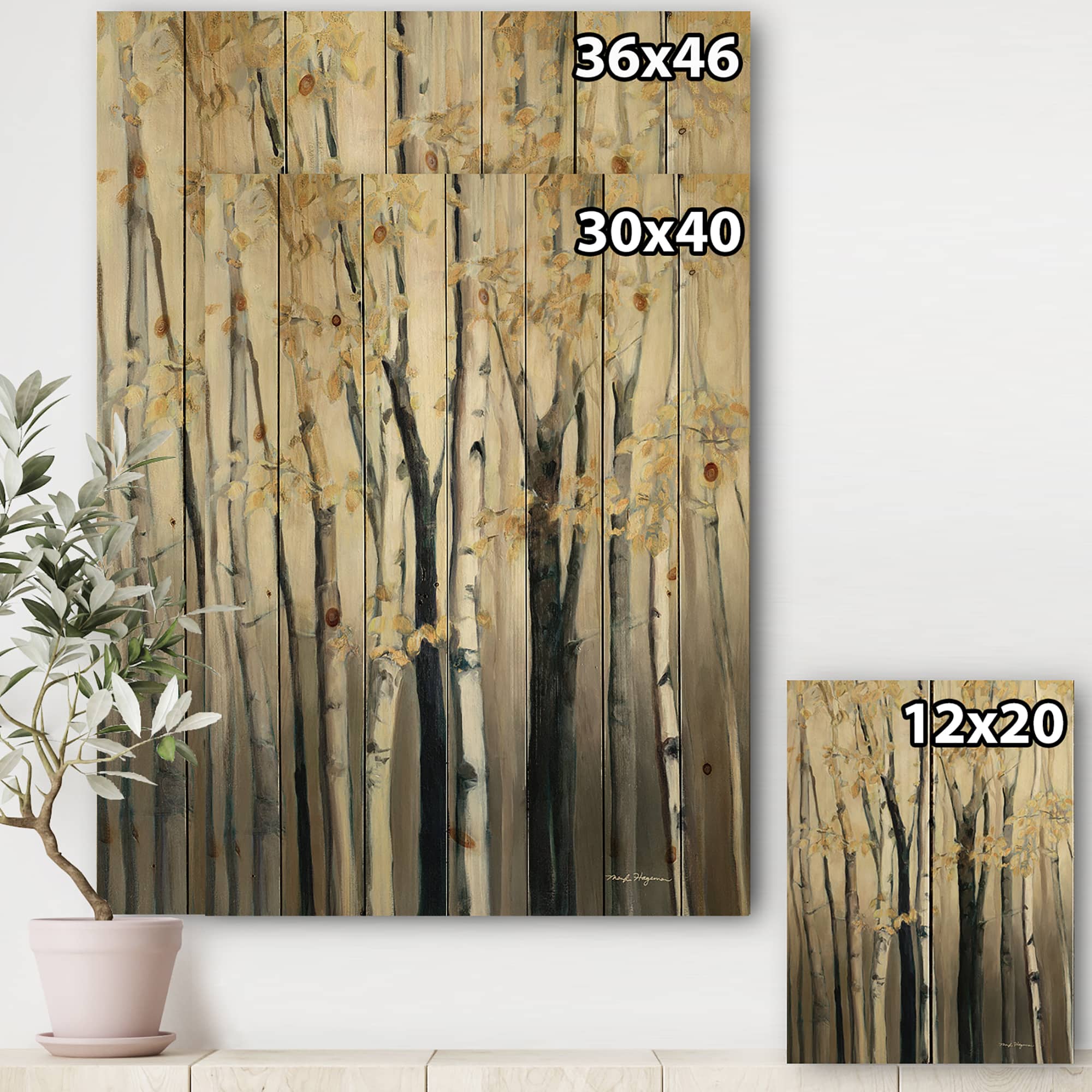 Designart - Golden Birch Forest III - Farmhouse Print on Natural Pine Wood