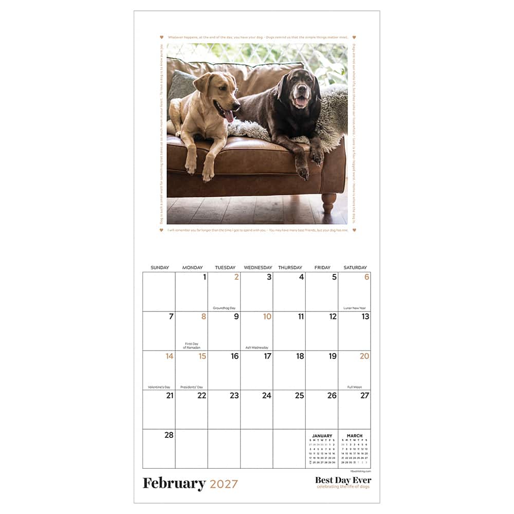2027 Best Day Ever: Dogs Mini Calendar