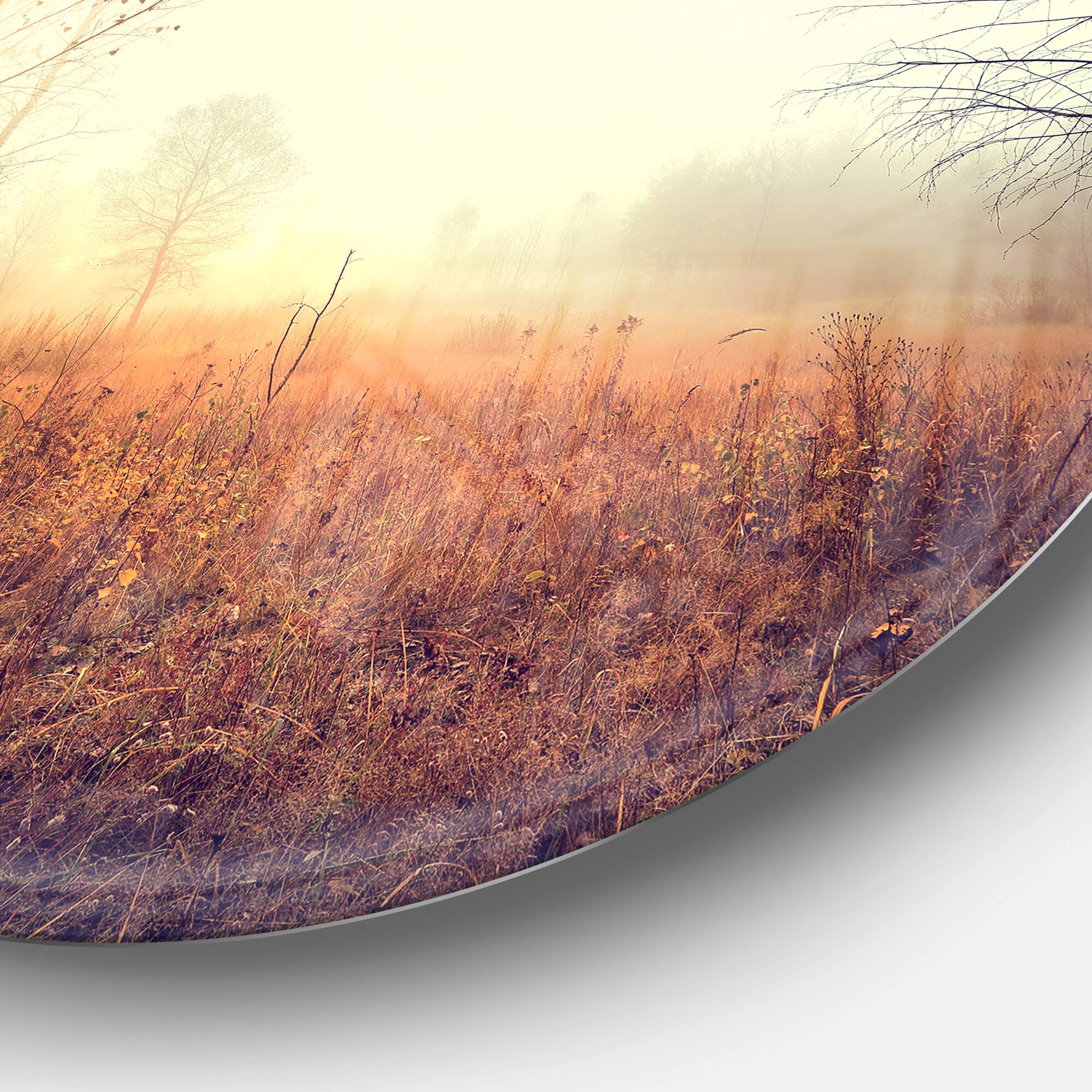 Designart - Beautiful Natural Landscape with Trees' Extra Large Wall Art Landscape