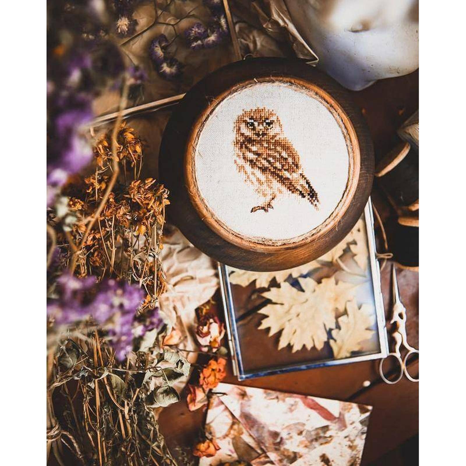 Alisa Owl Cross Stitch Kit