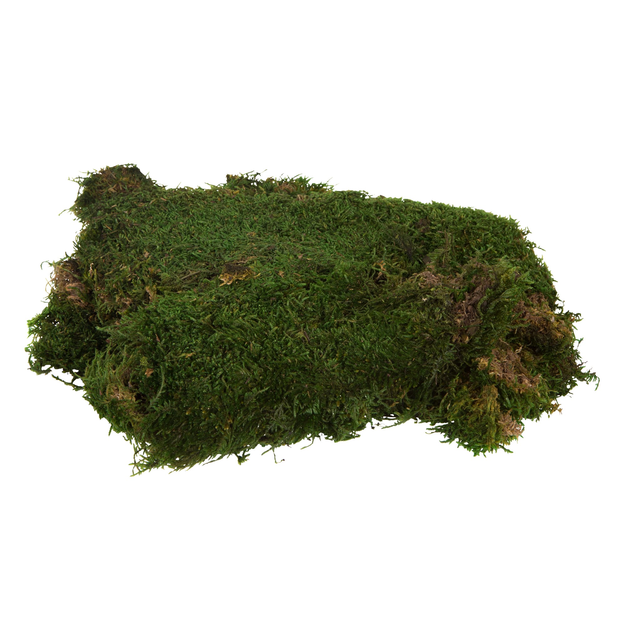 Preserved Green Sheet Moss Bag