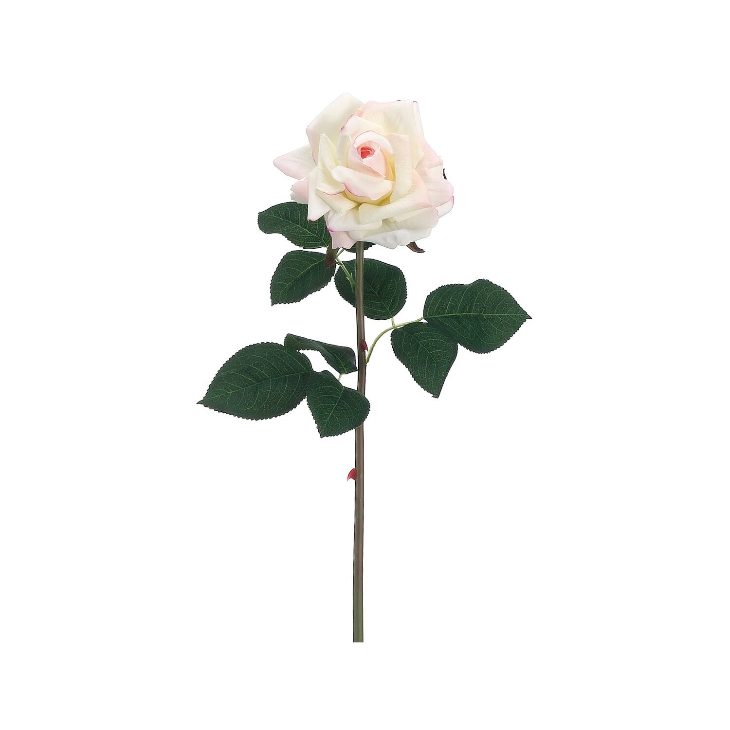 Real Touch Cream & Pink Rose Spray