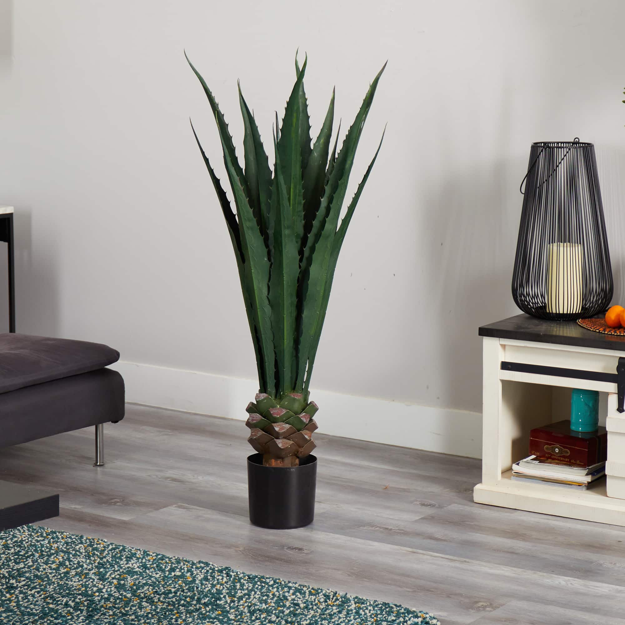 4.5ft. Potted Giant Agave Plant
