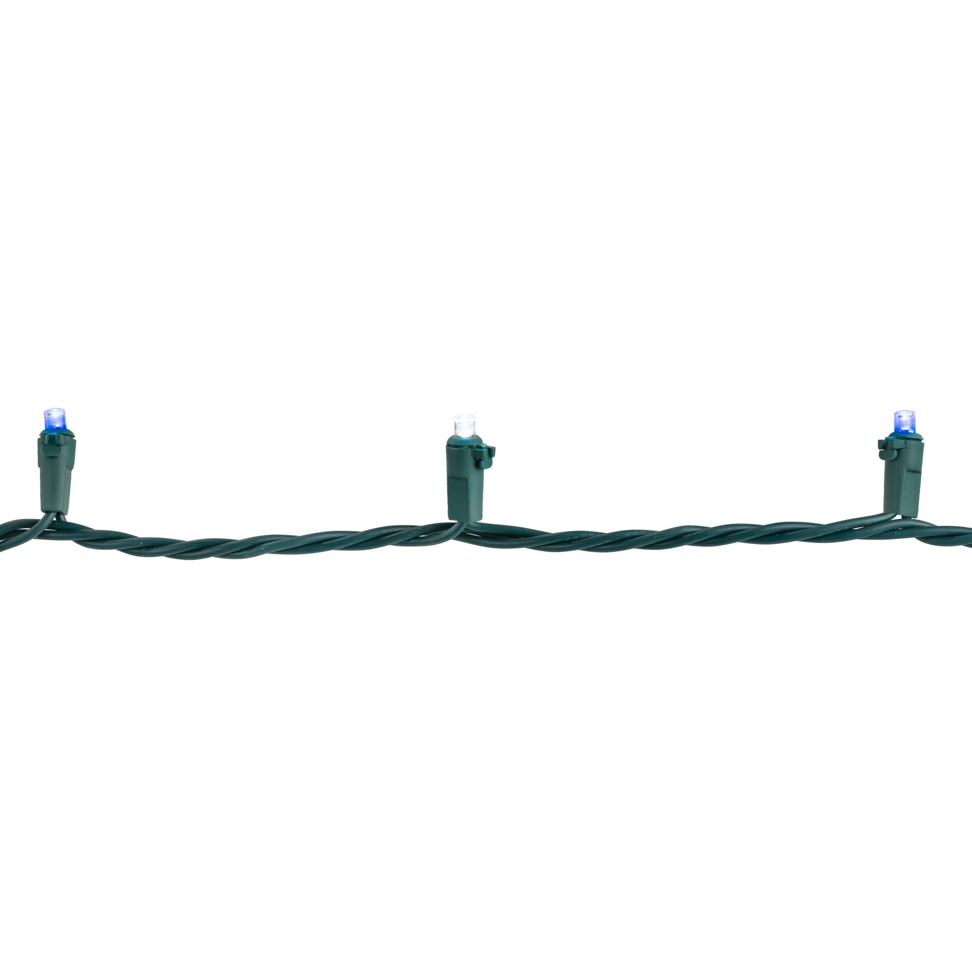 50ct Blue and White LED Wide Angle Mini Christmas Lights  16.25ft Green Wire