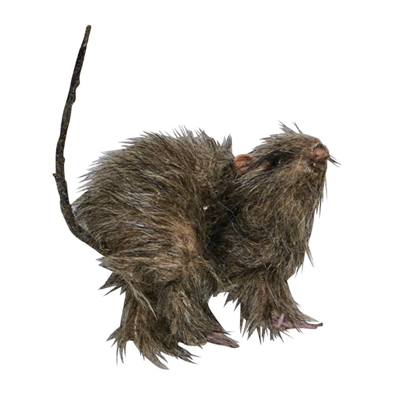 Worth Imports 6" Gray Halloween Small Rats, 3ct.