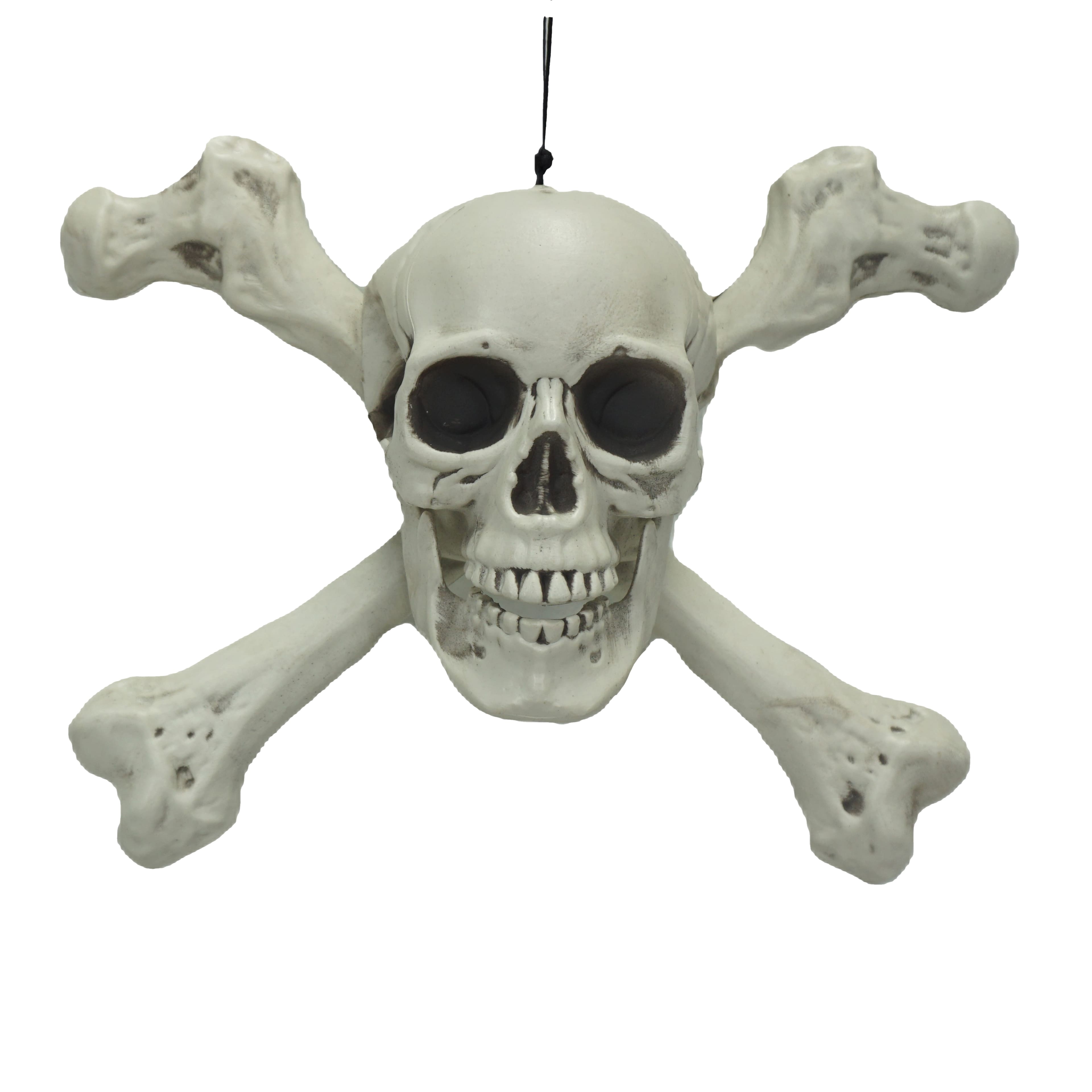 15" Hanging Skull & Crossbones by Ashland®